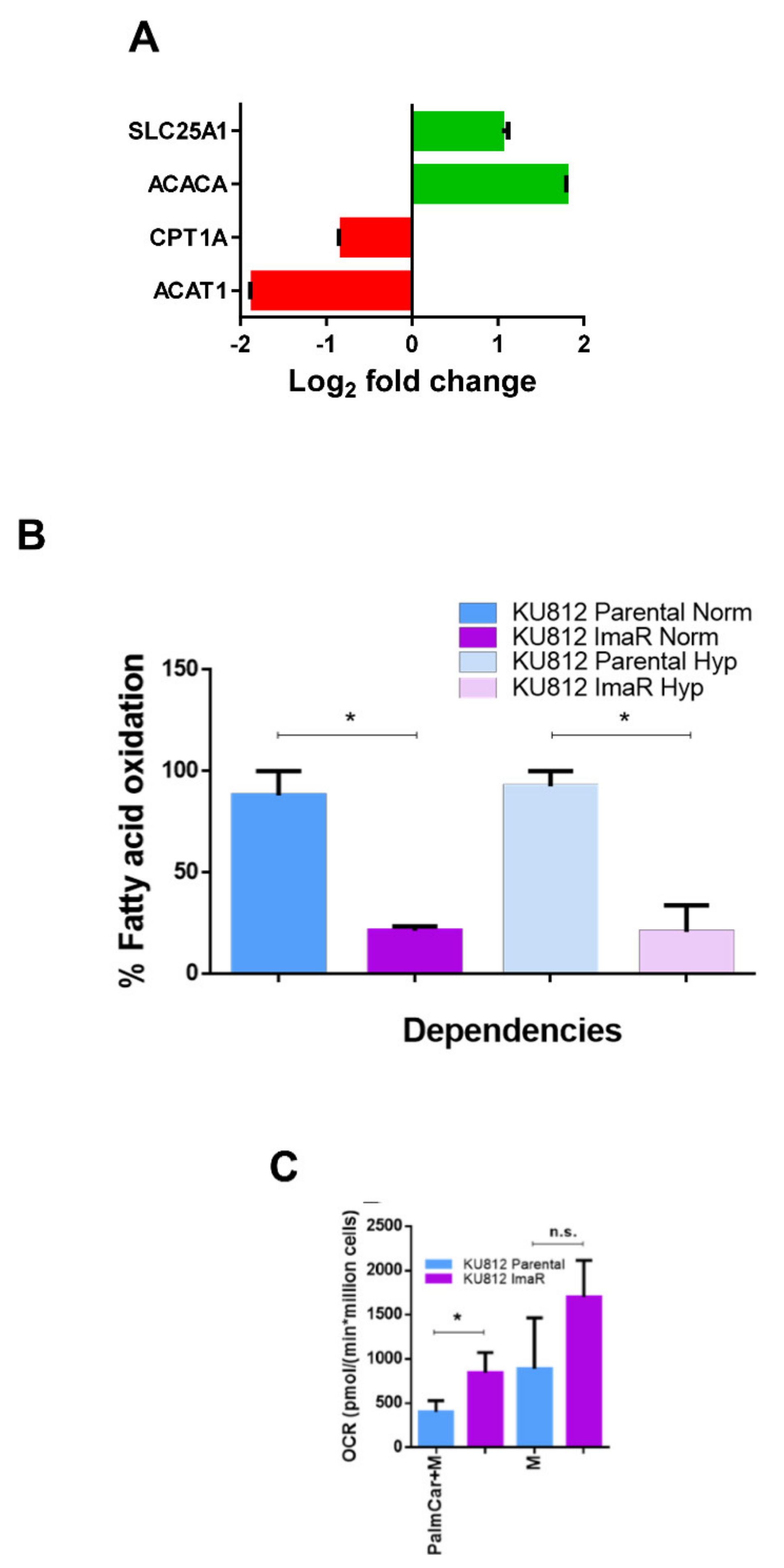Cancers 12 03443 g007 Cancers 12 03443 g007