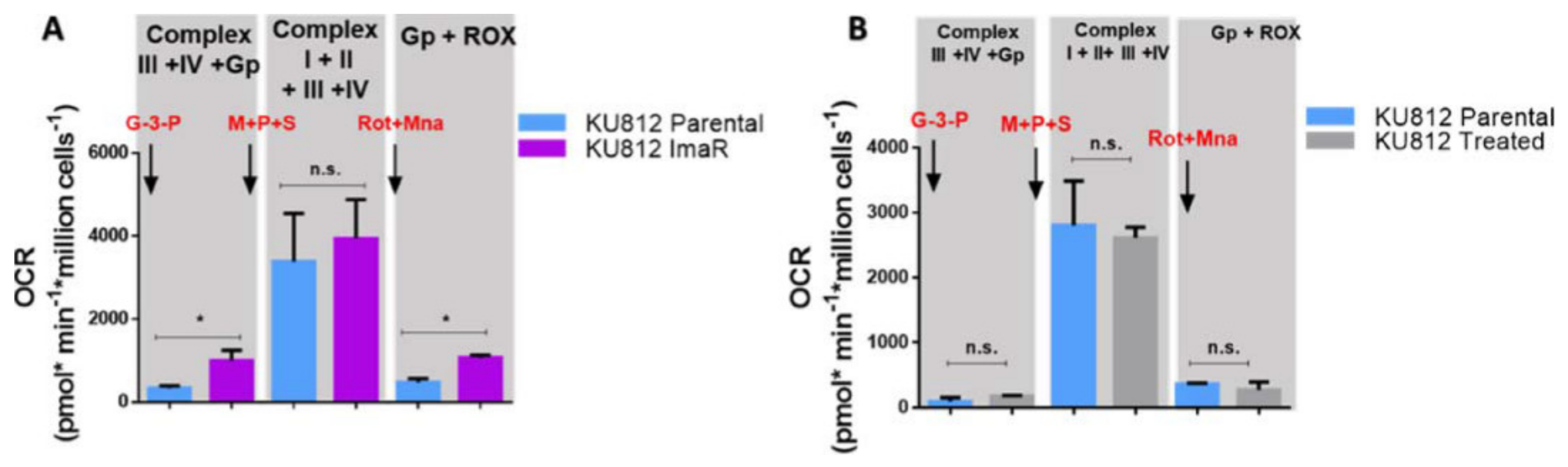 Cancers 12 03443 g008 Cancers 12 03443 g008
