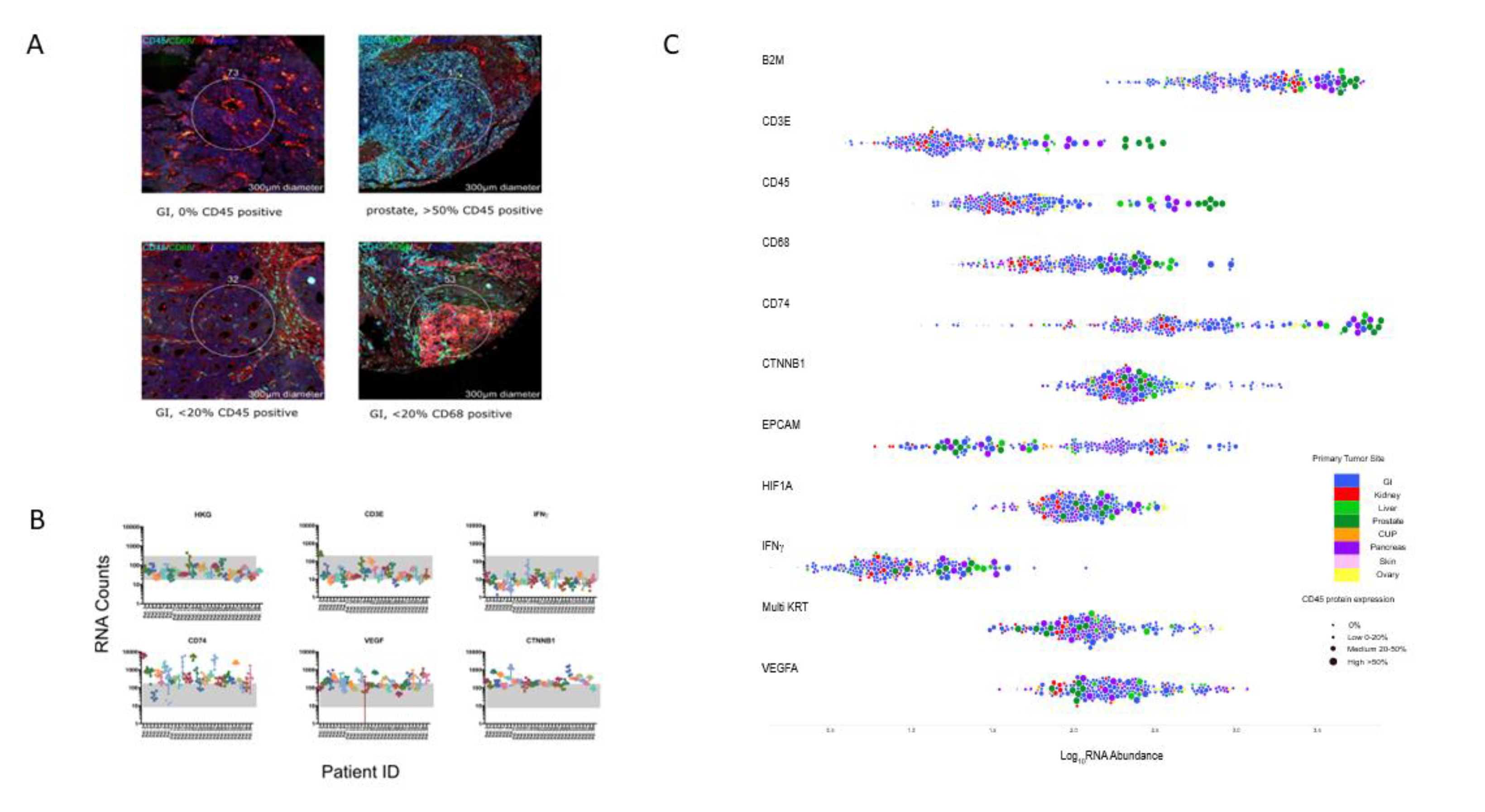 Cancers 12 03448 g004 Cancers 12 03448 g004