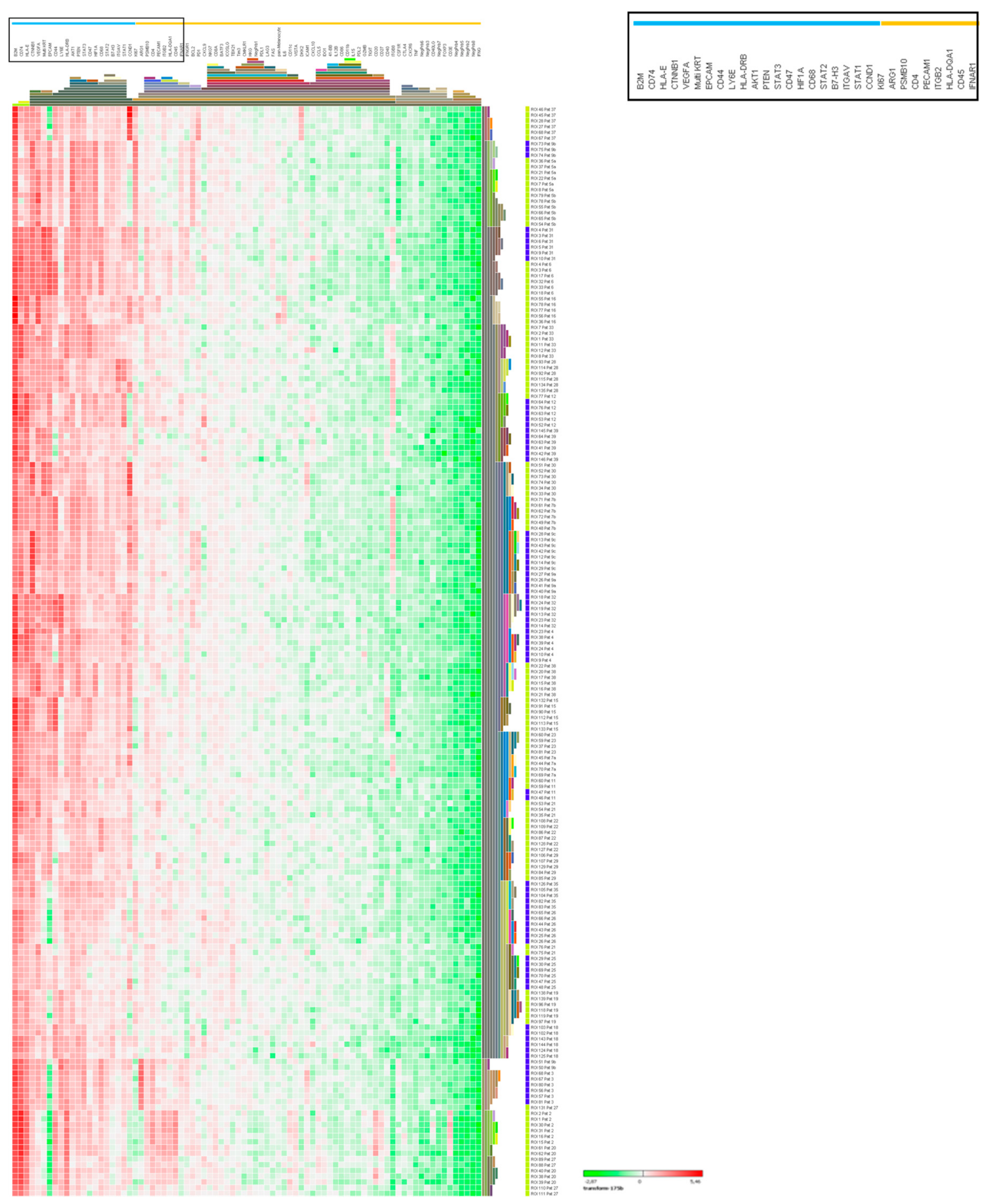 Cancers 12 03448 g005 Cancers 12 03448 g005