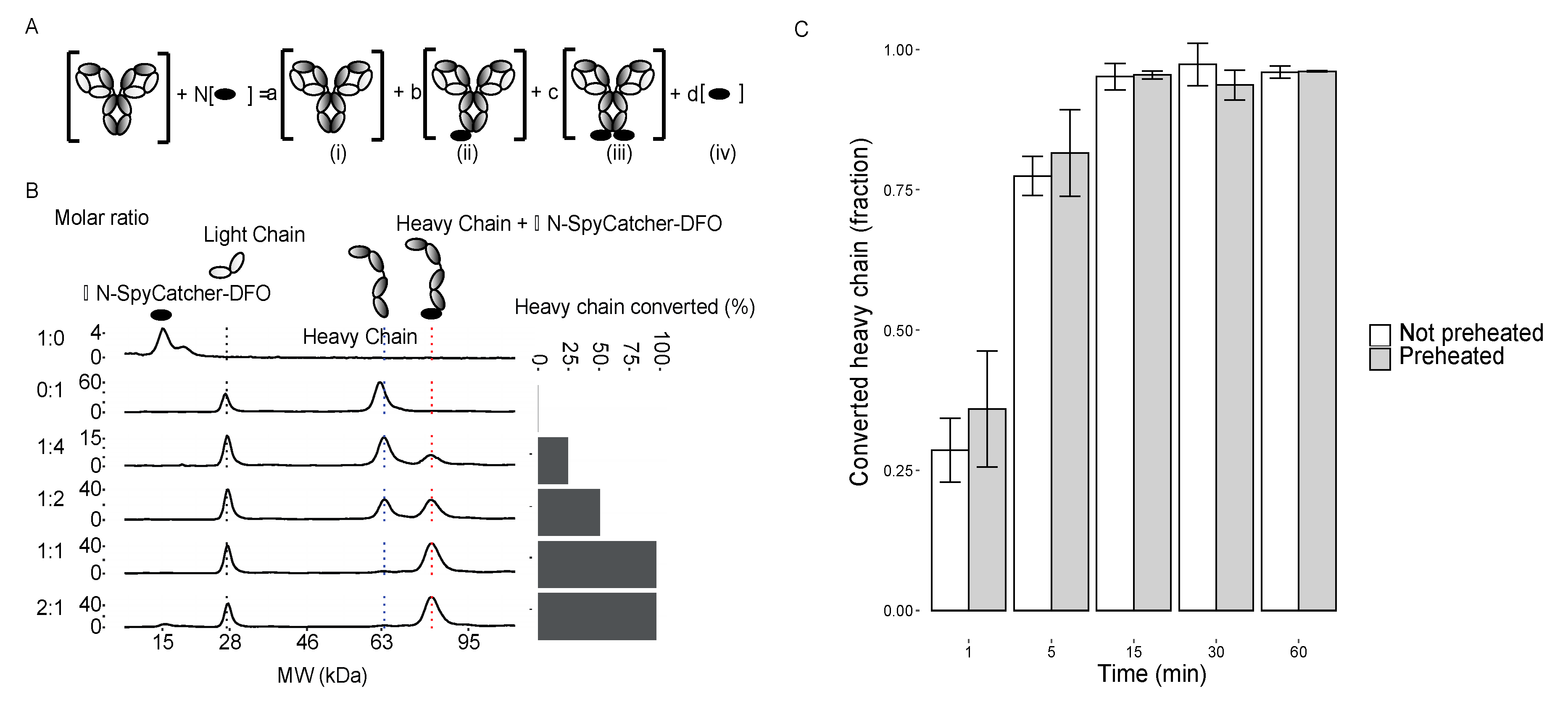 Cancers 12 03449 g002 Cancers 12 03449 g002