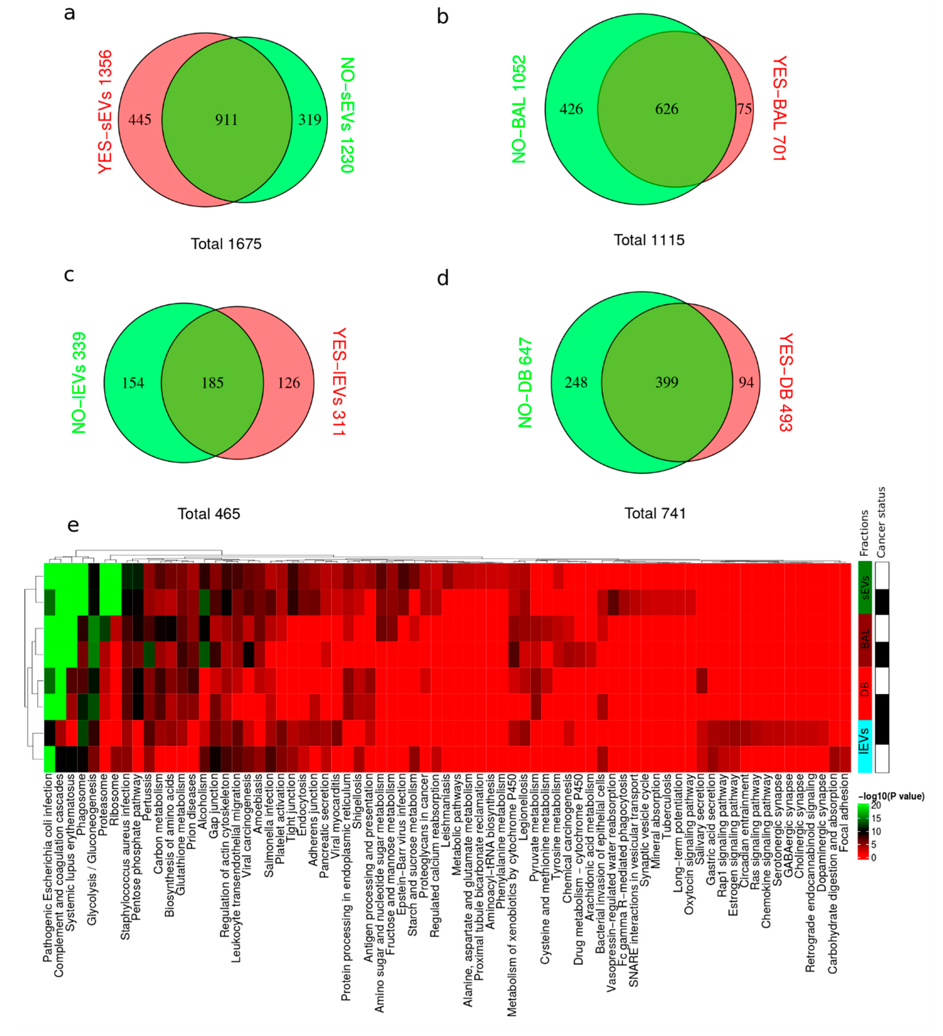 Cancers 12 03450 g001 Cancers 12 03450 g001