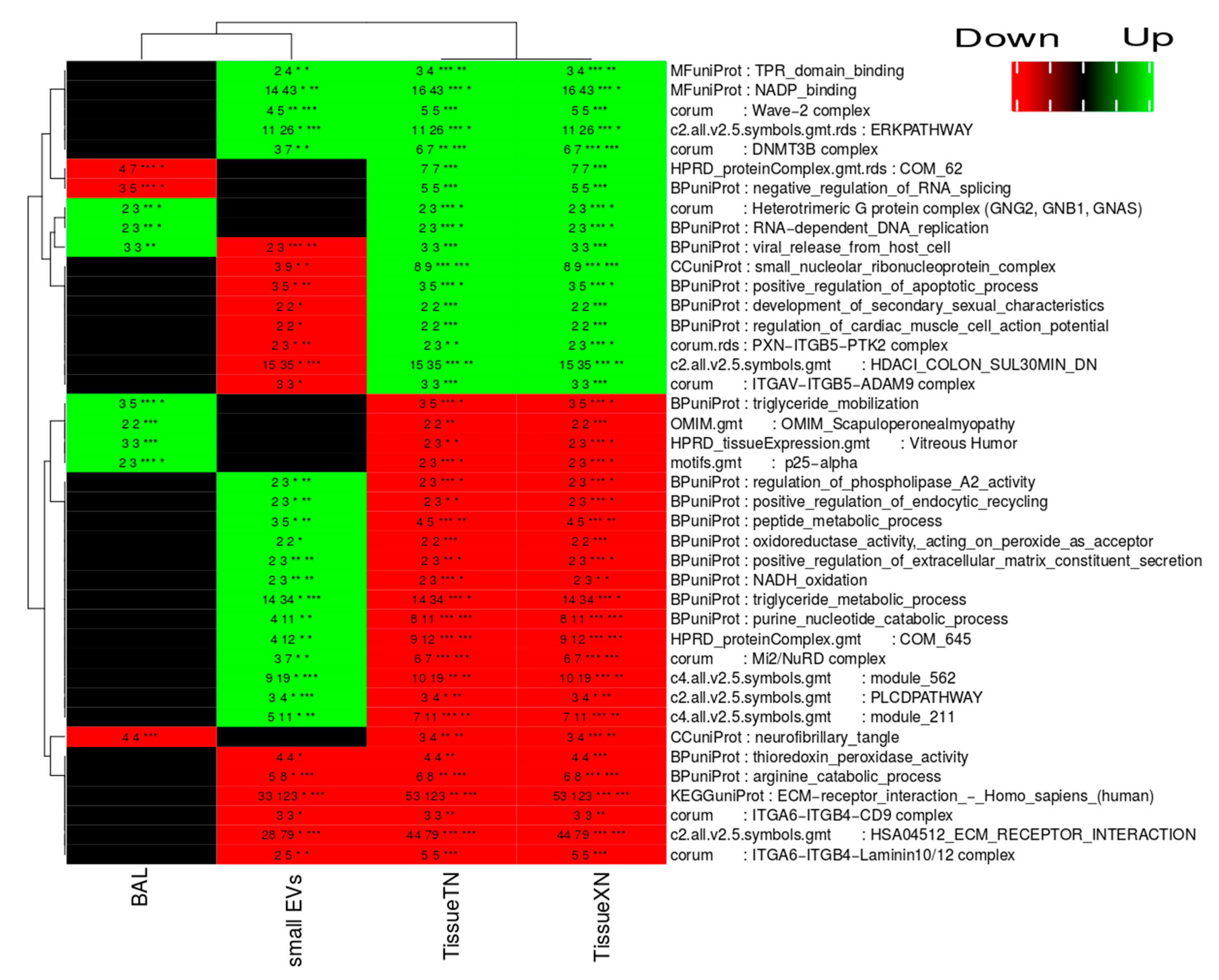 Cancers 12 03450 g005 Cancers 12 03450 g005