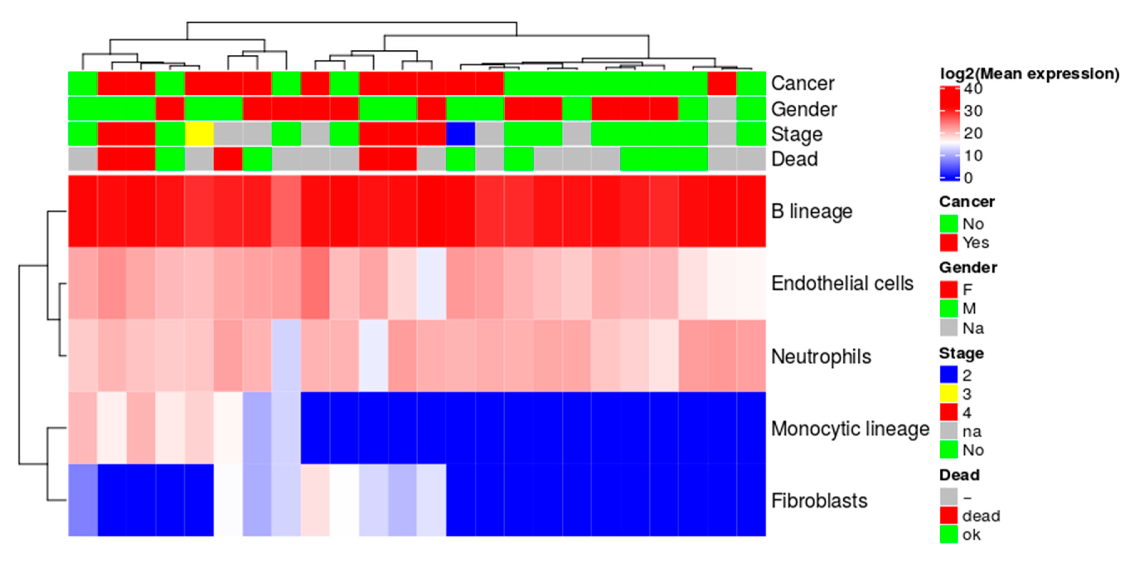 Cancers 12 03450 g006 Cancers 12 03450 g006