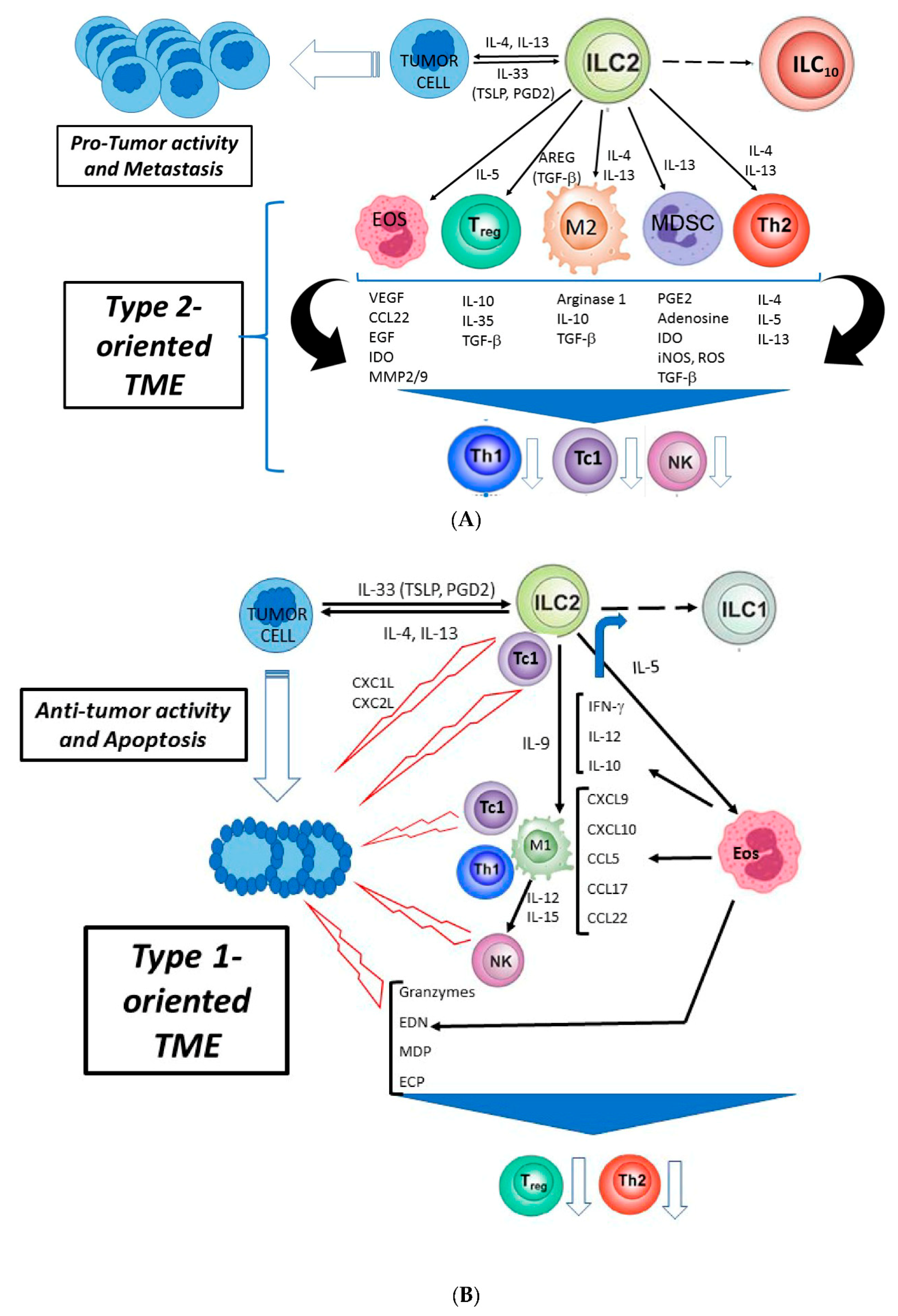 Cancers 12 03452 g001 Cancers 12 03452 g001