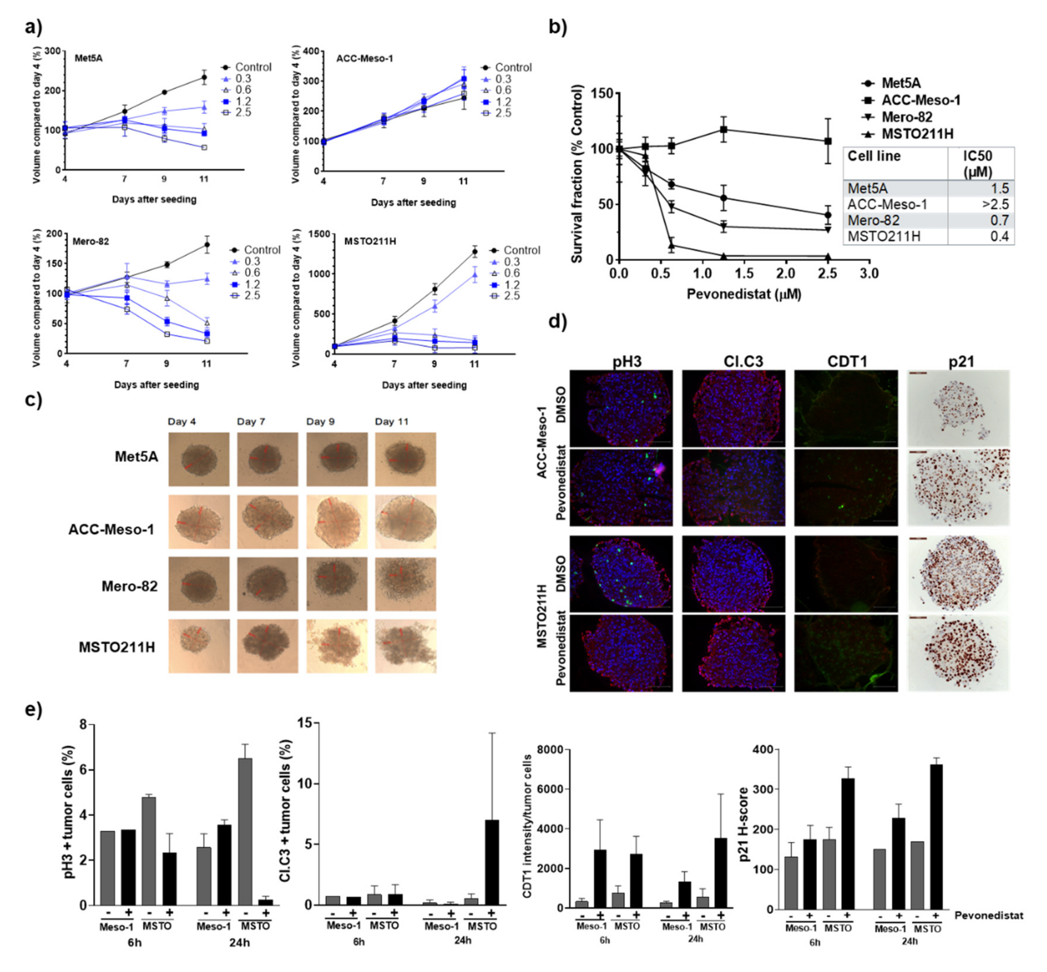 Cancers 12 03460 g004 Cancers 12 03460 g004