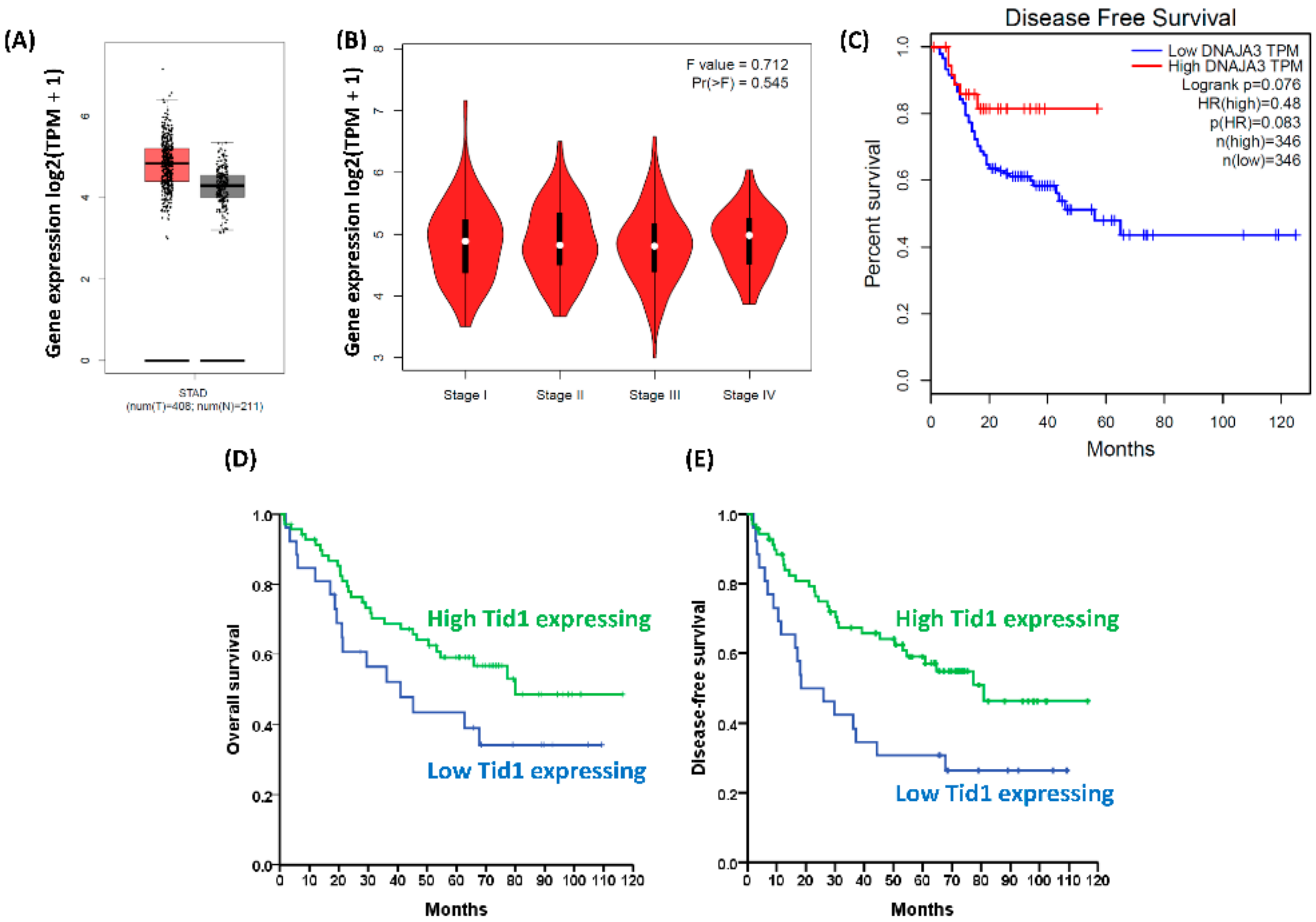Cancers 12 03463 g001 Cancers 12 03463 g001