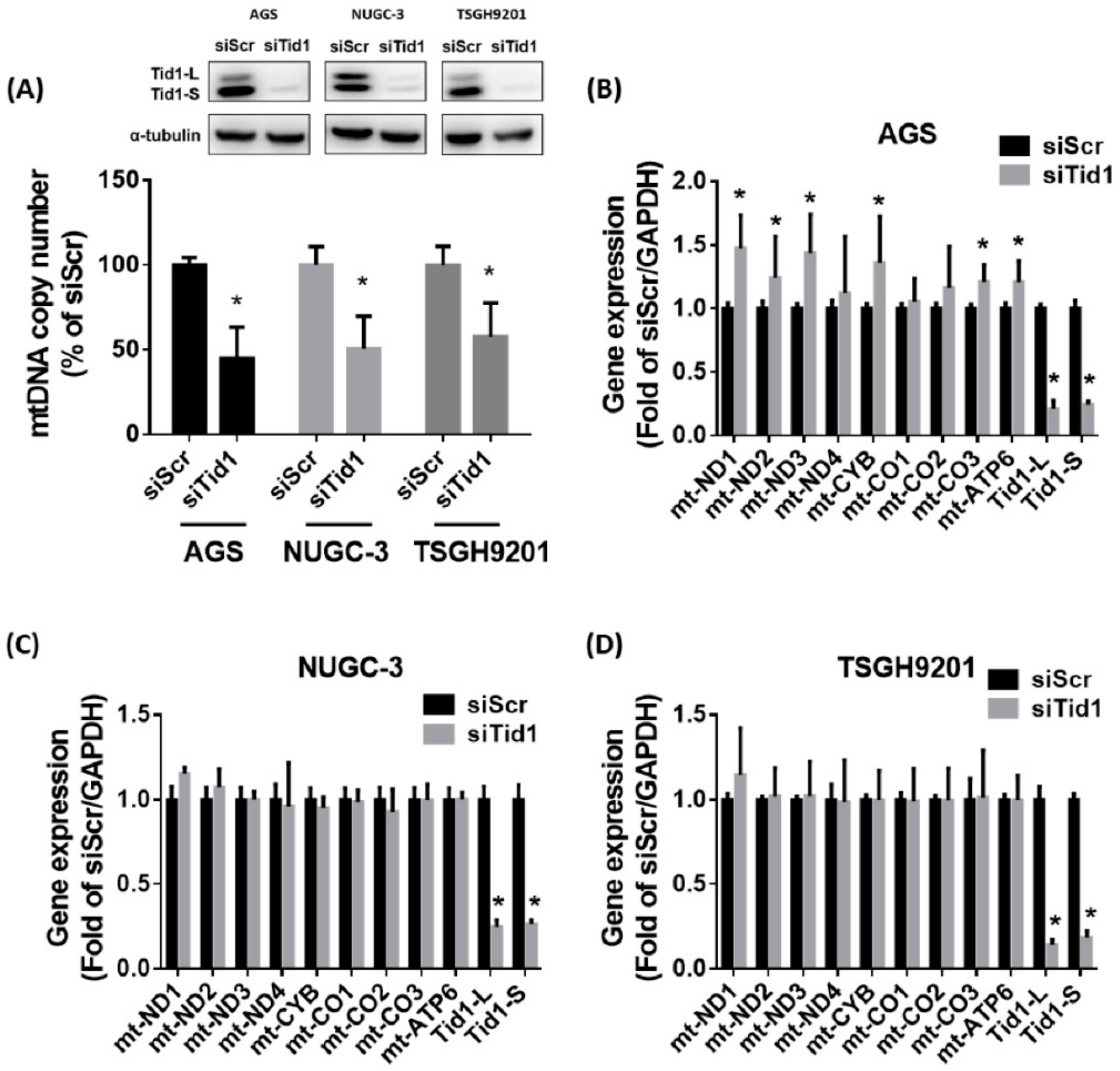 Cancers 12 03463 g004 Cancers 12 03463 g004