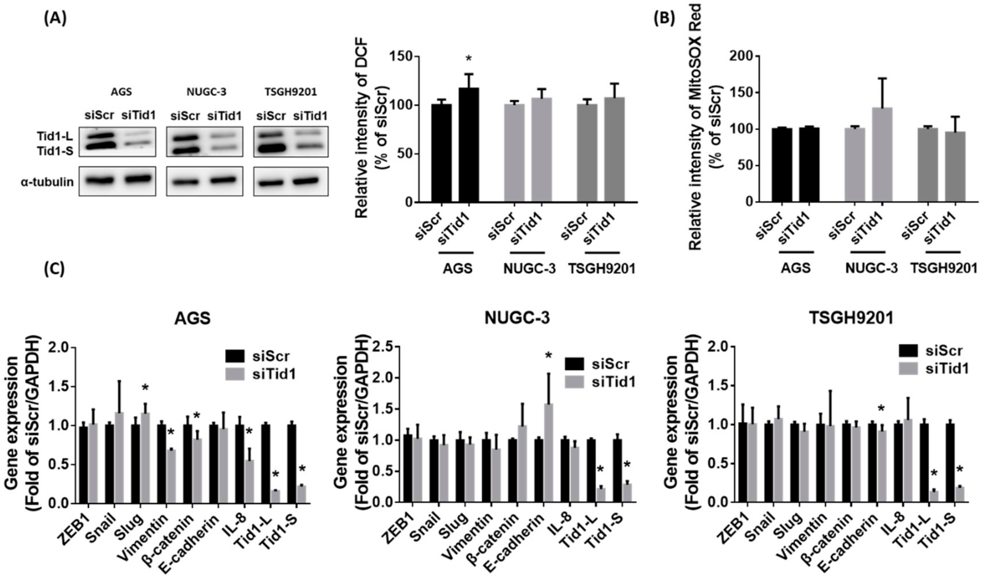 Cancers 12 03463 g006 Cancers 12 03463 g006