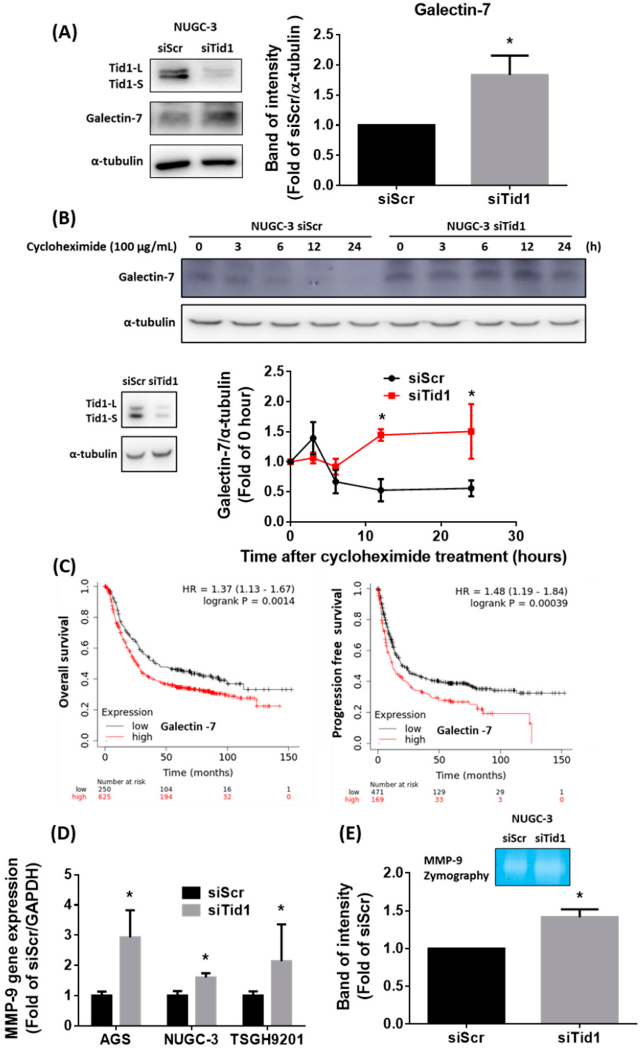Cancers 12 03463 g007 Cancers 12 03463 g007