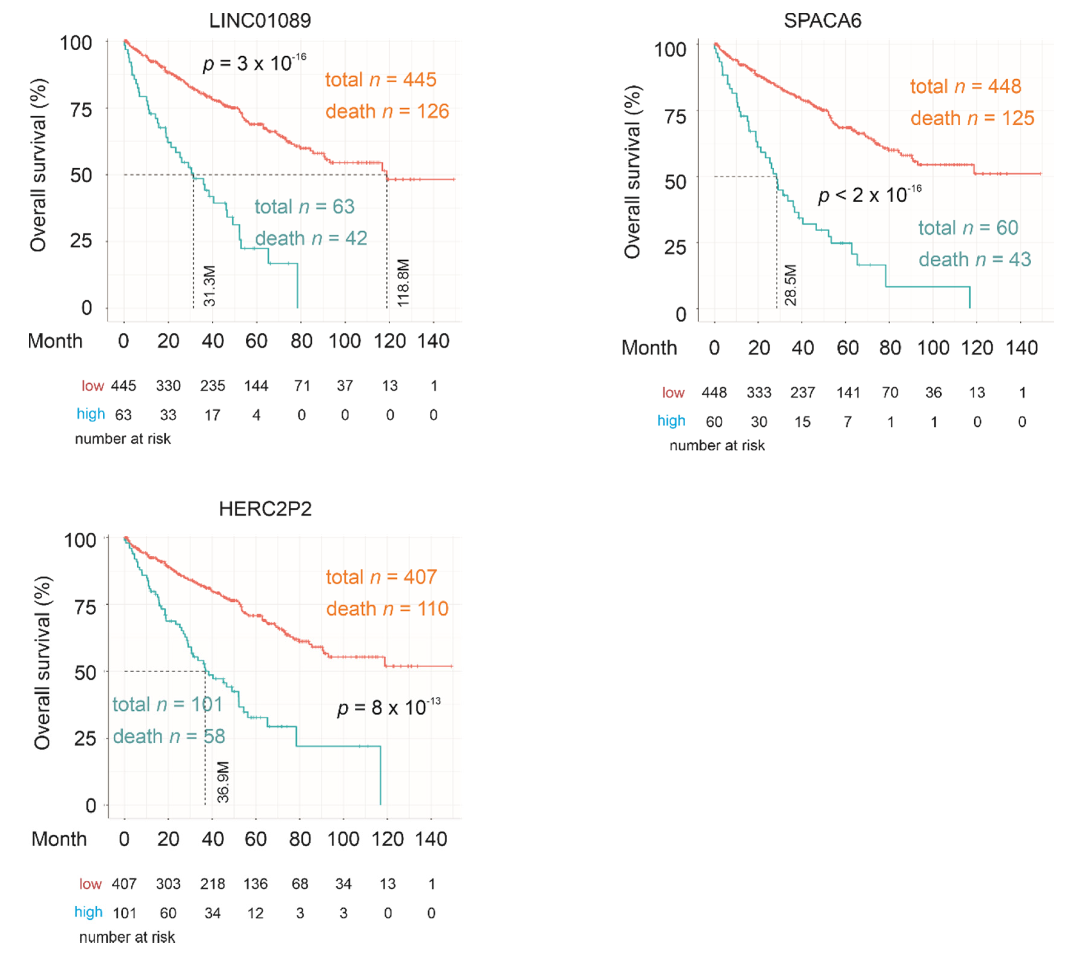Cancers 12 03471 g007