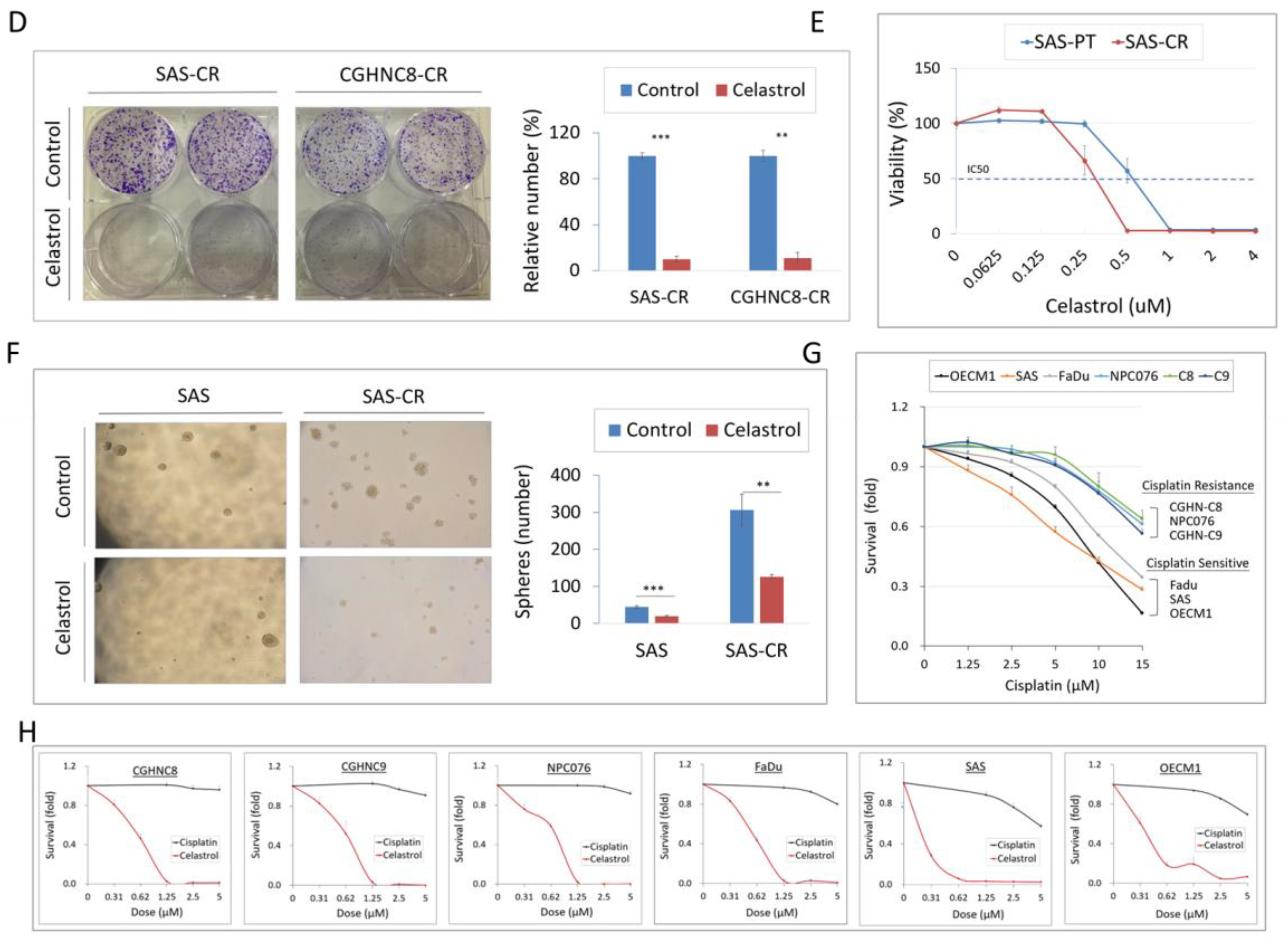 Cancers 12 03482 g005b Cancers 12 03482 g005b