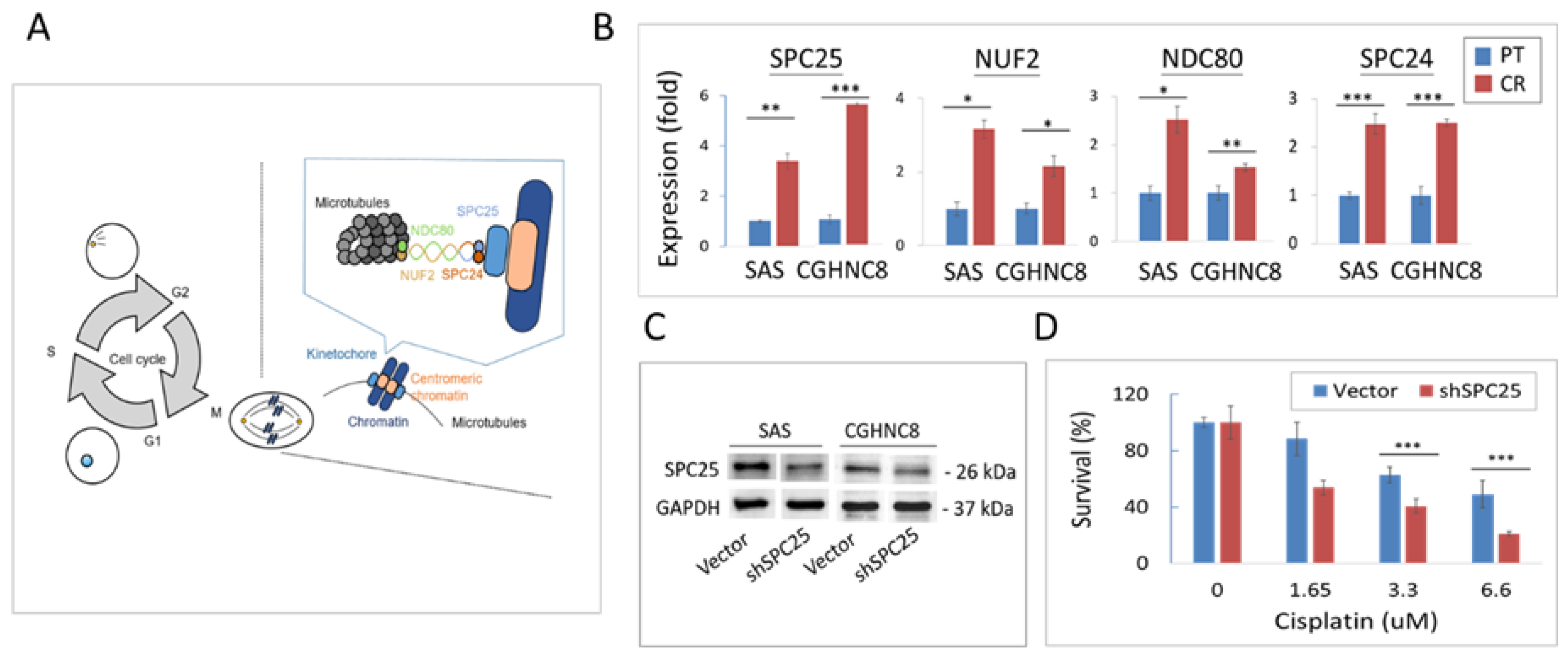 Cancers 12 03482 g006a Cancers 12 03482 g006a