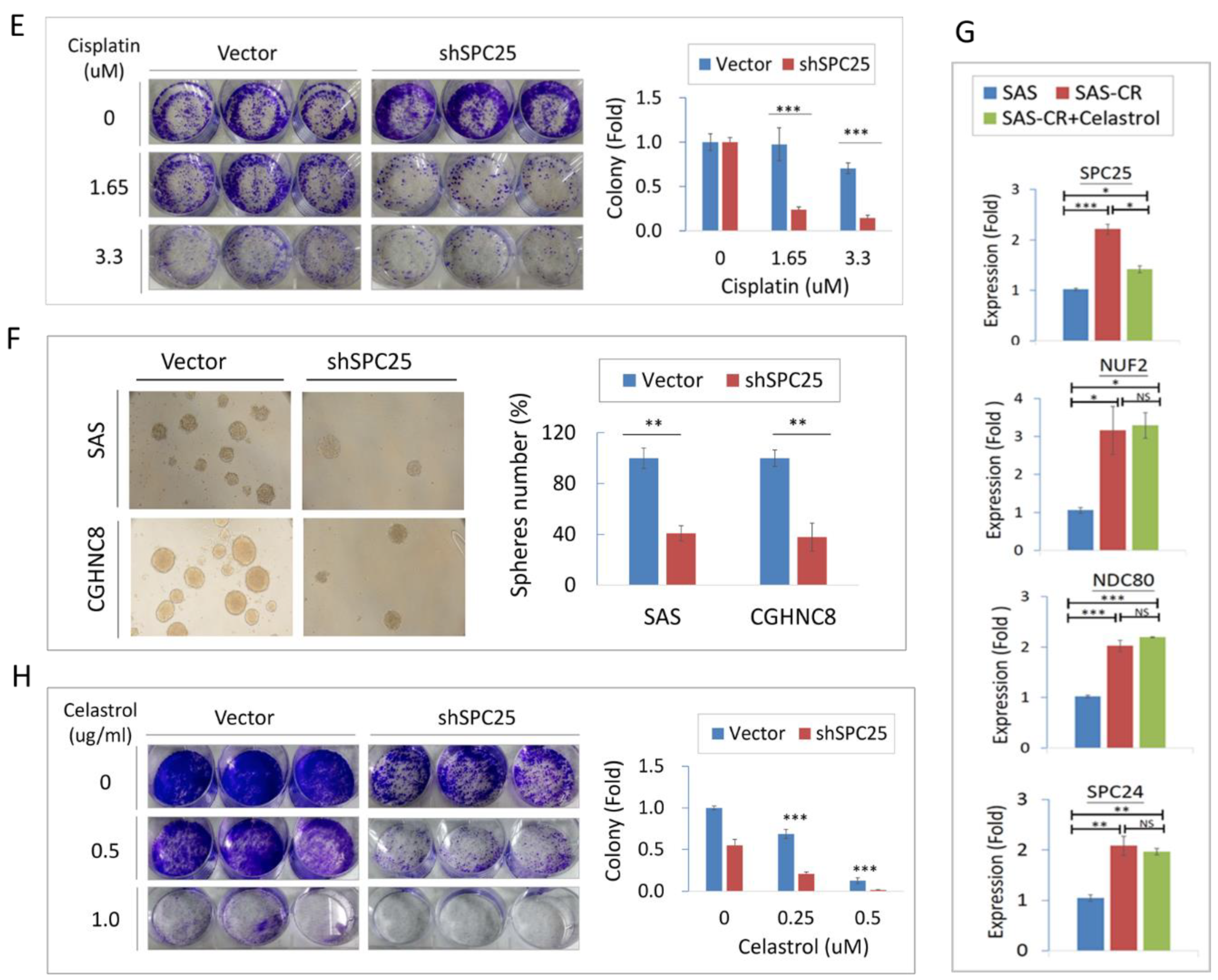Cancers 12 03482 g006b Cancers 12 03482 g006b