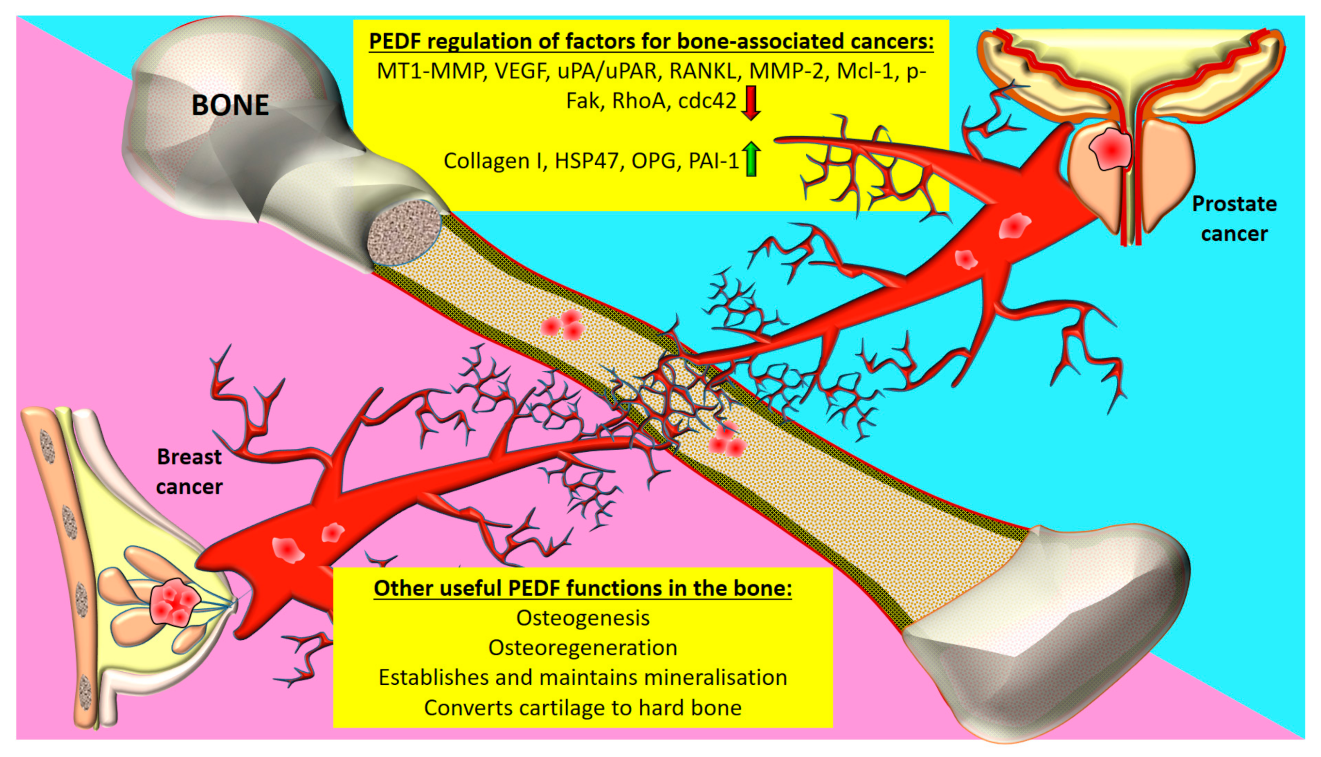 Cancers 12 03483 g002