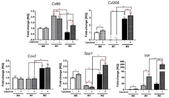 Cancers Free Full Text Calcitriol In The Presence Of Conditioned Media From Metastatic Breast Cancer Cells Enhances Ex Vivo Polarization Of M2 Alternative Murine Bone Marrow Derived Macrophages Html Cancers Free Full Text Calcitriol In The Presence Of Conditioned Media From Metastatic Breast Cancer Cells Enhances Ex Vivo Polarization Of M2 Alternative Murine Bone Marrow Derived Macrophages Html