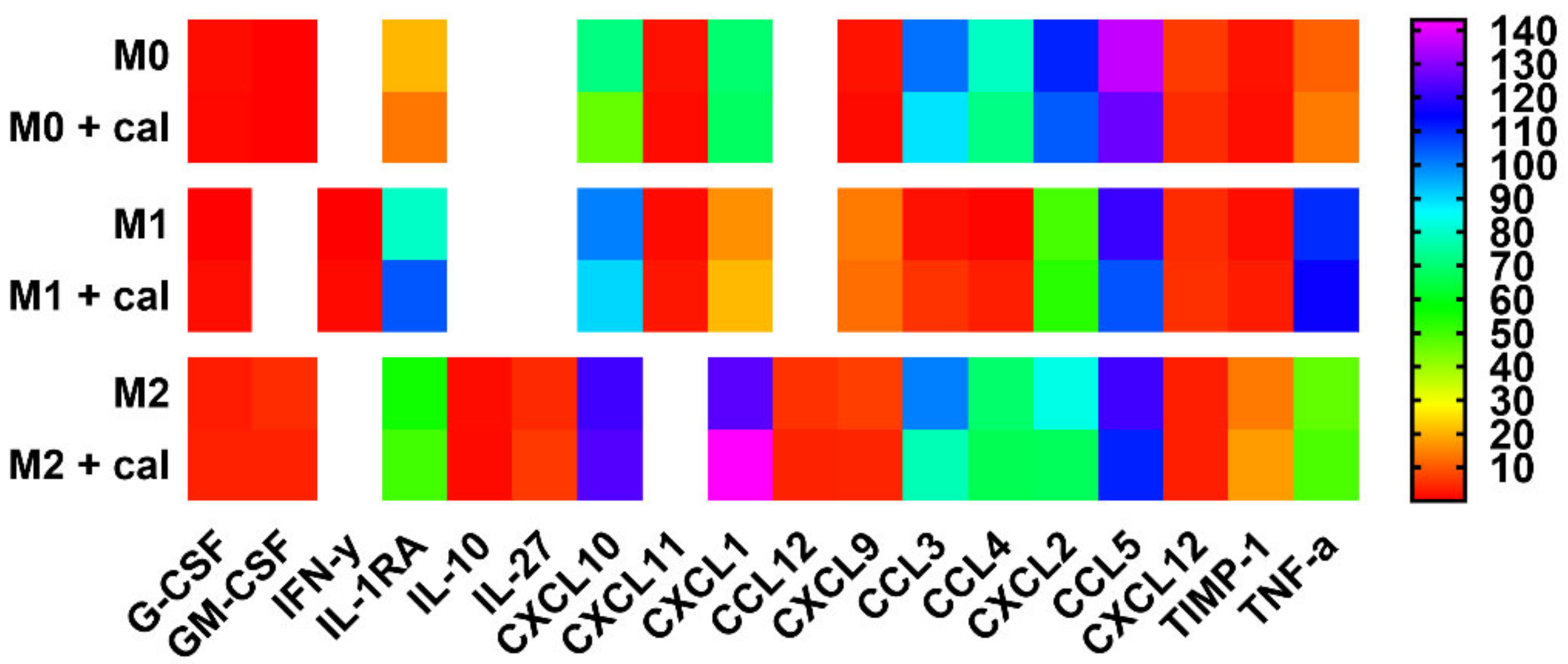 Cancers 12 03485 g003 Cancers 12 03485 g003