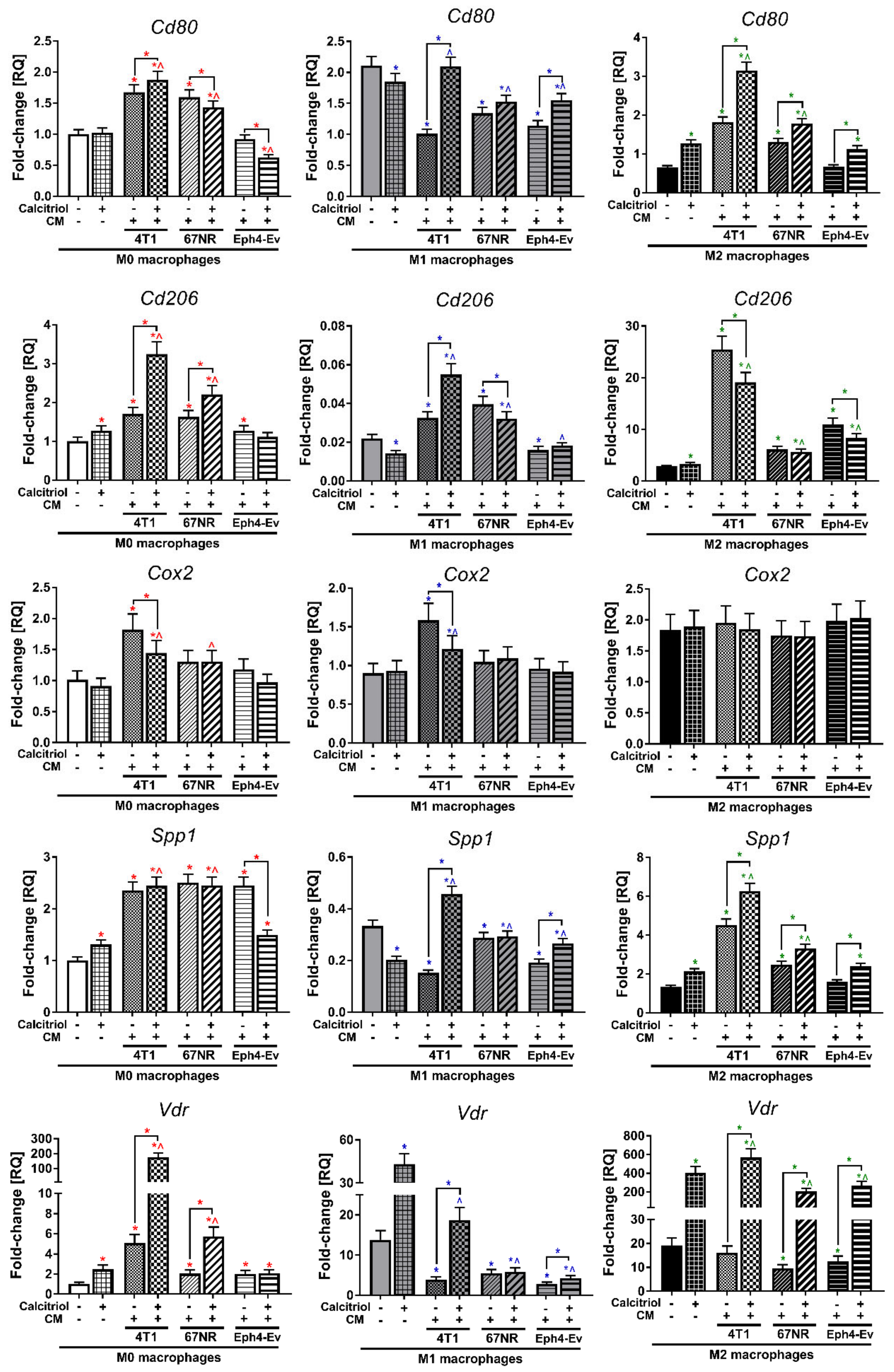 Cancers 12 03485 g006 Cancers 12 03485 g006