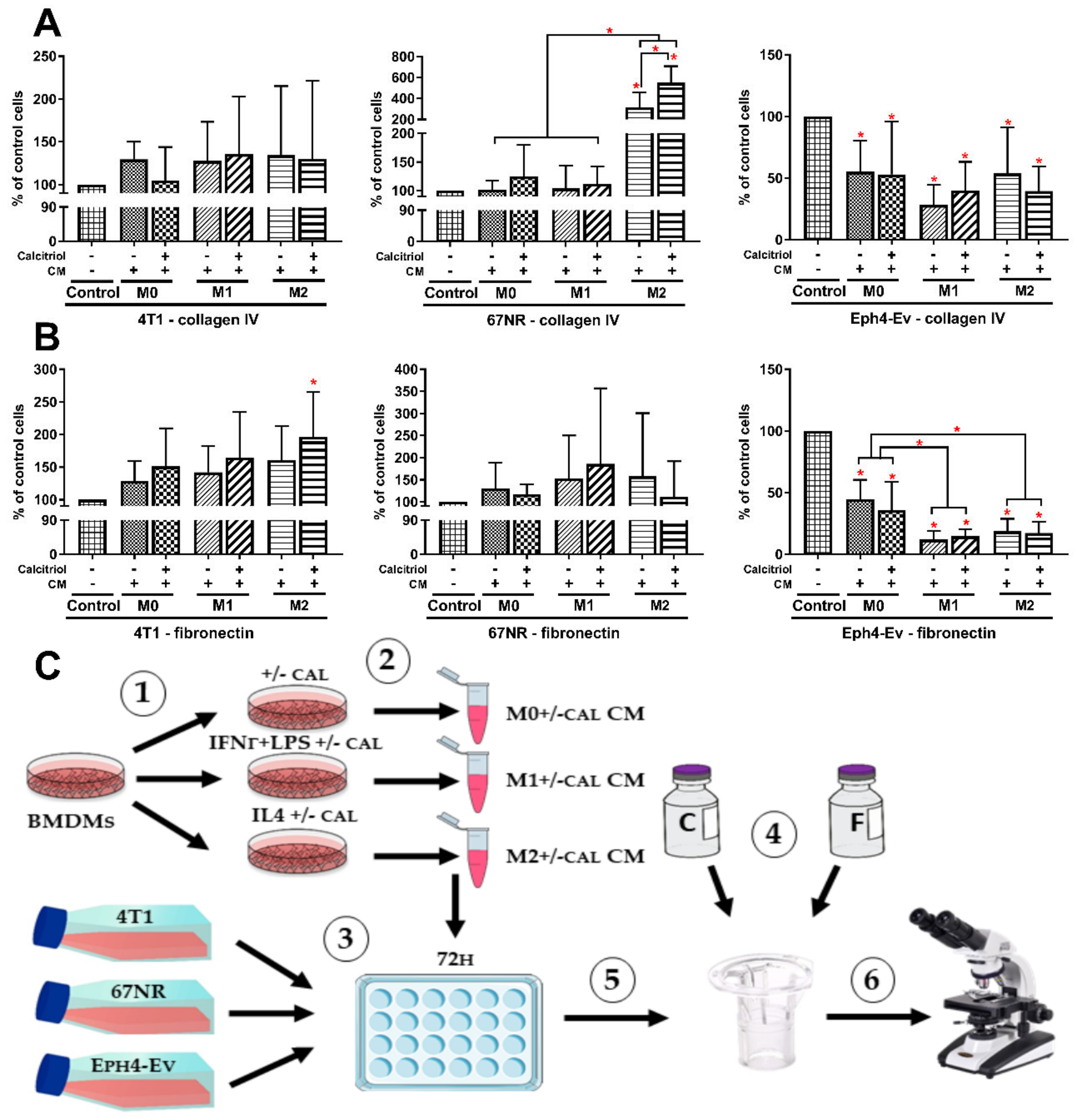Cancers 12 03485 g008 Cancers 12 03485 g008