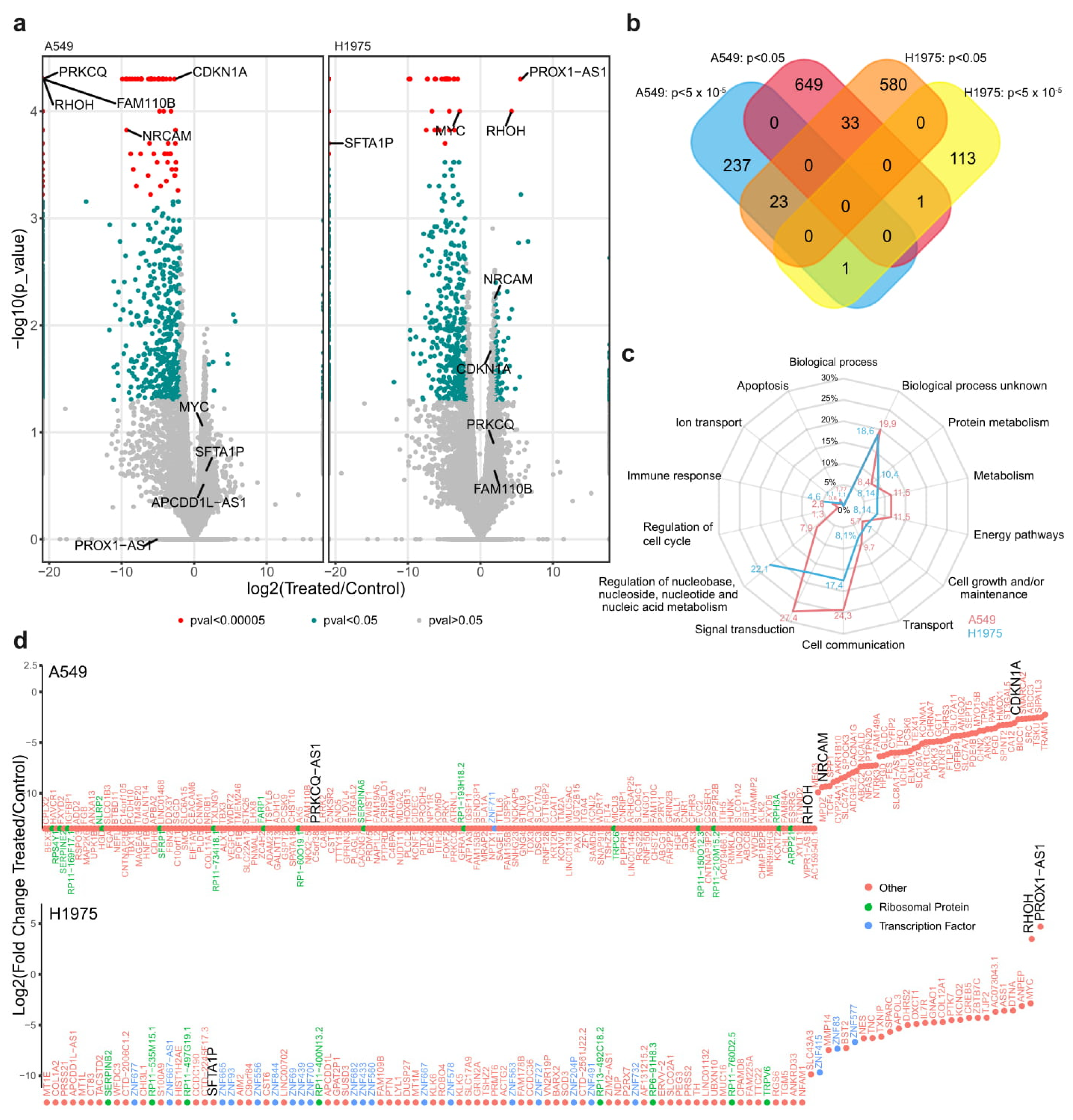 Cancers 12 03499 g006 Cancers 12 03499 g006