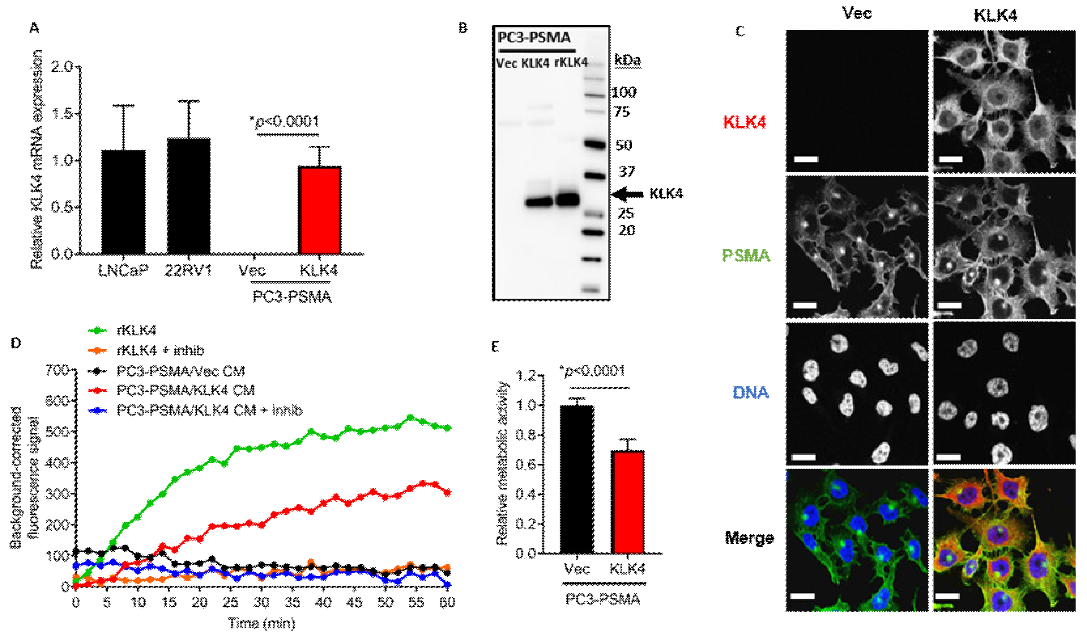 Cancers 12 03501 g002
