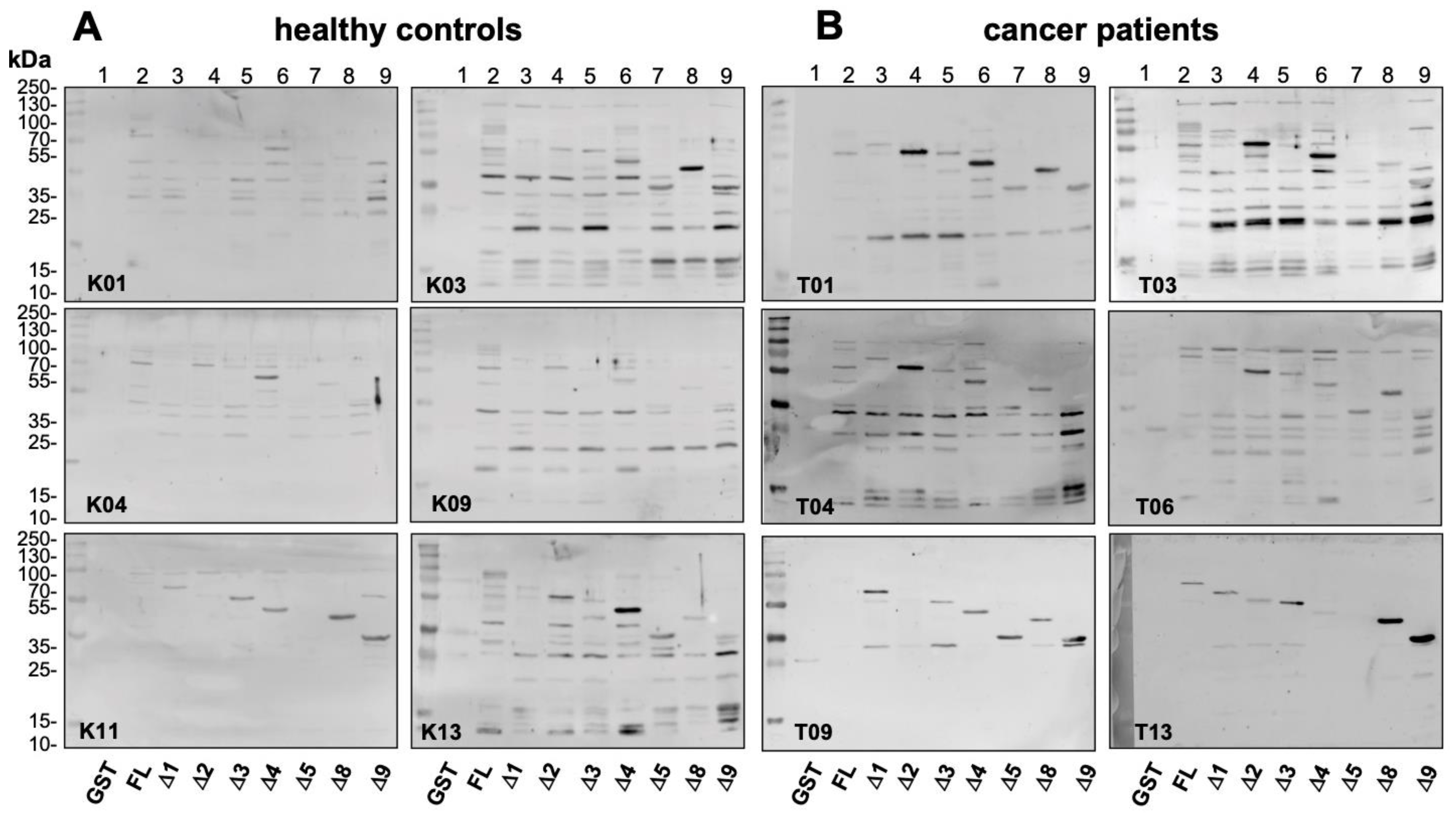 Cancers 12 03507 g005a Cancers 12 03507 g005a