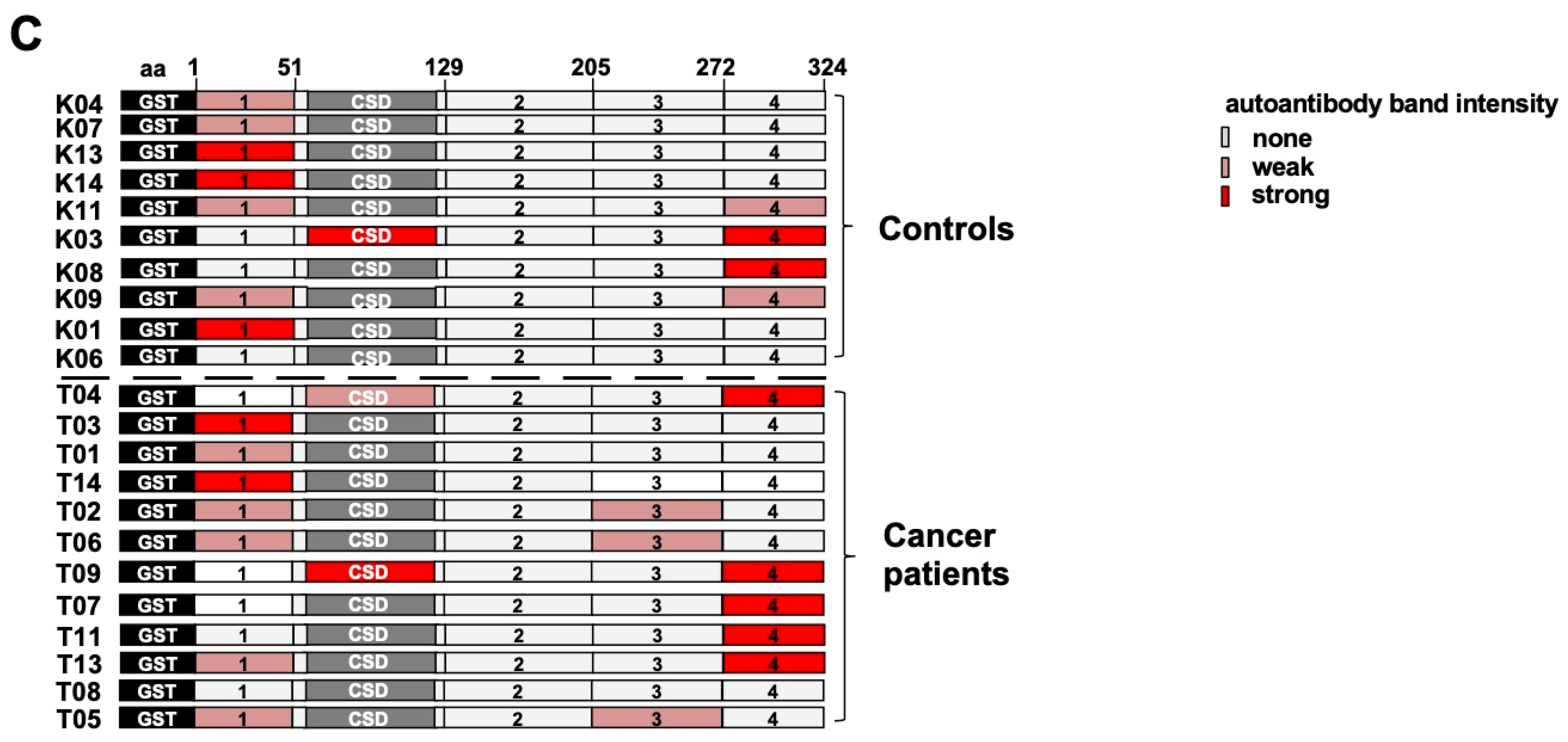 Cancers 12 03507 g005b Cancers 12 03507 g005b