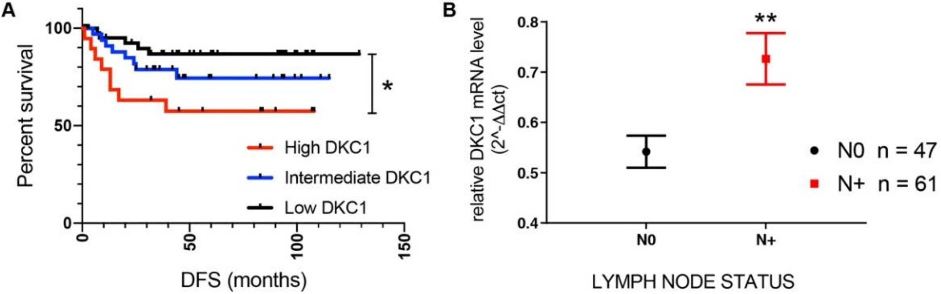 Cancers 12 03512 g001 Cancers 12 03512 g001