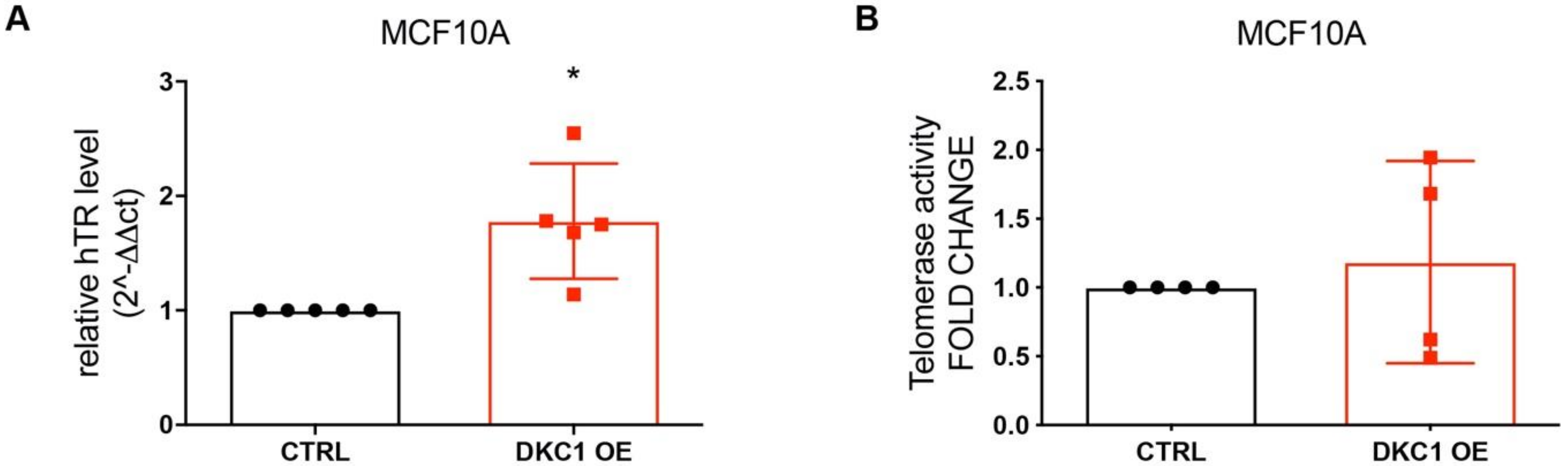 Cancers 12 03512 g003 Cancers 12 03512 g003