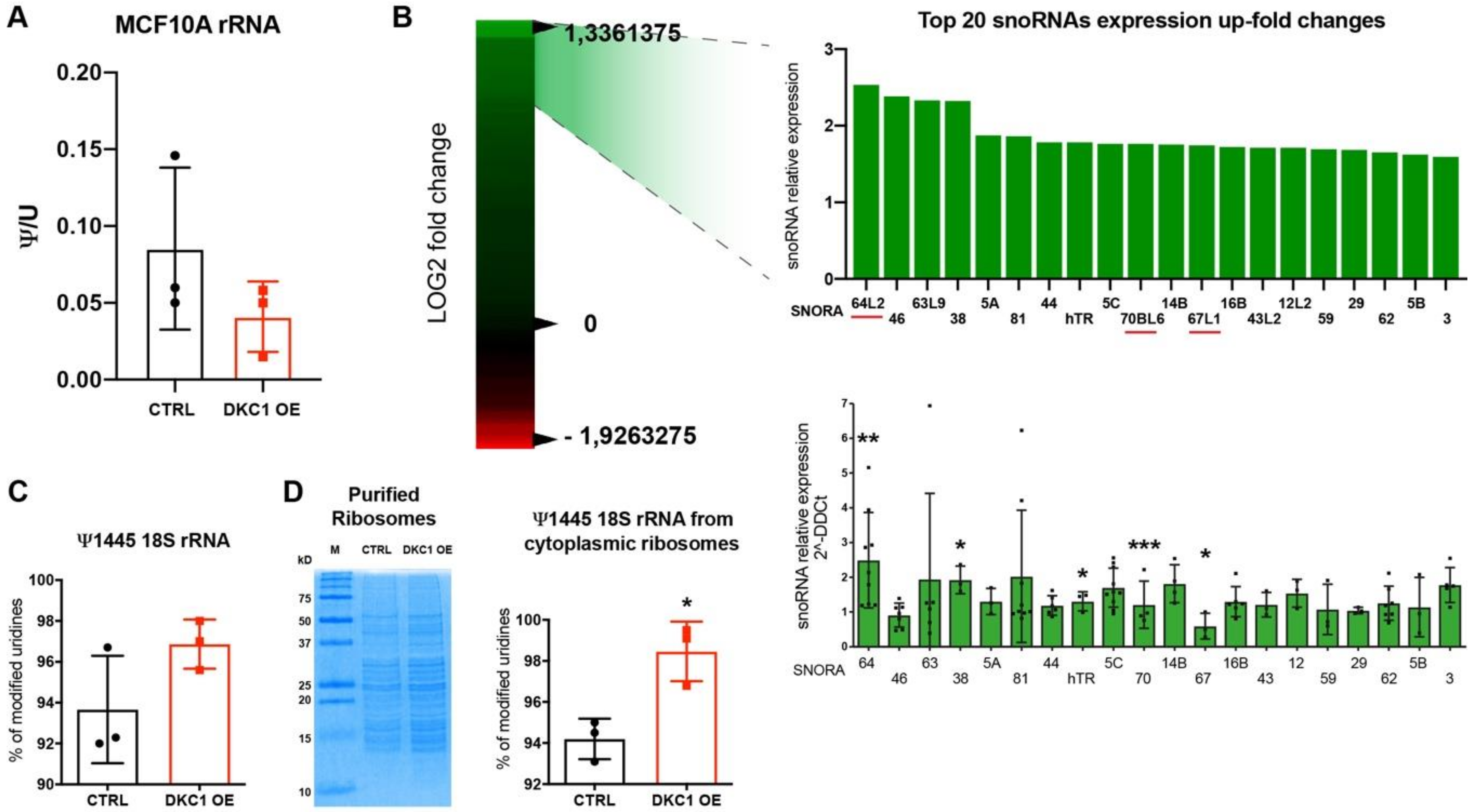 Cancers 12 03512 g004 Cancers 12 03512 g004