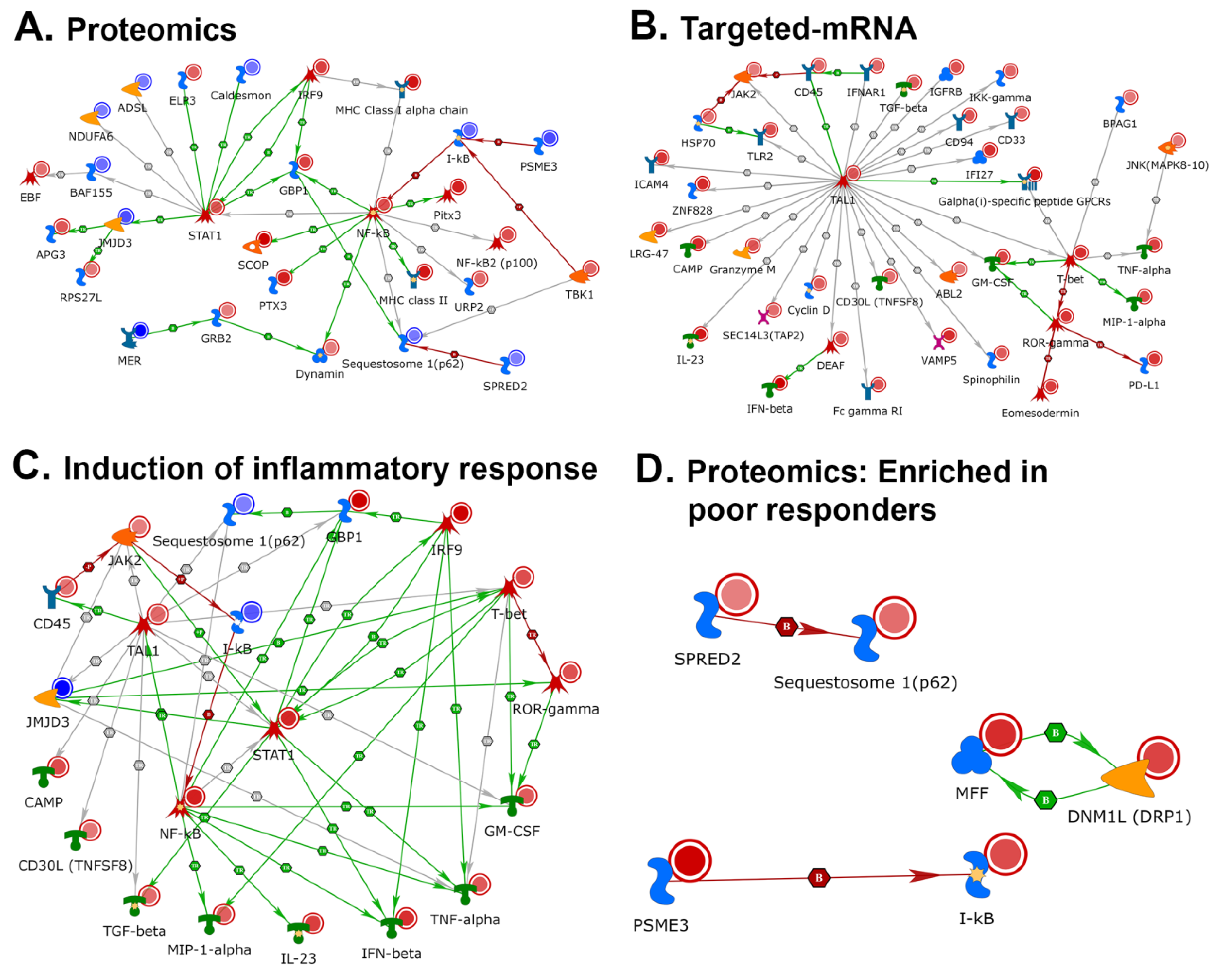 Cancers 12 03515 g004