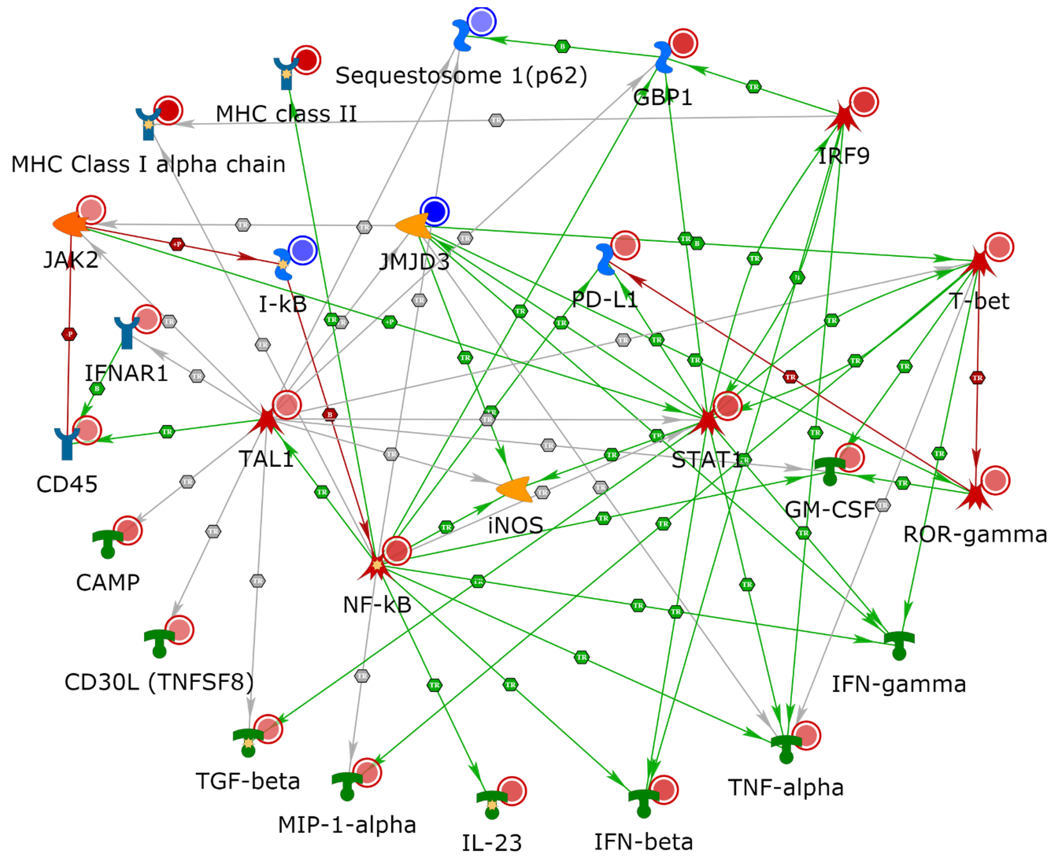 Cancers 12 03515 g005