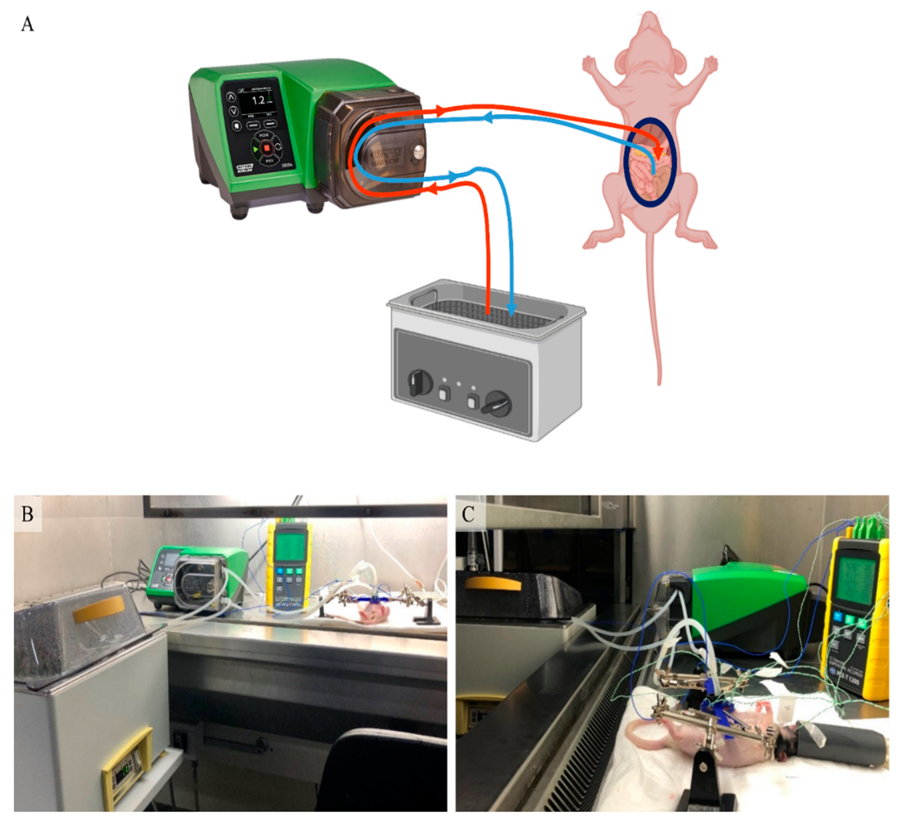 Cancers 12 03516 g001