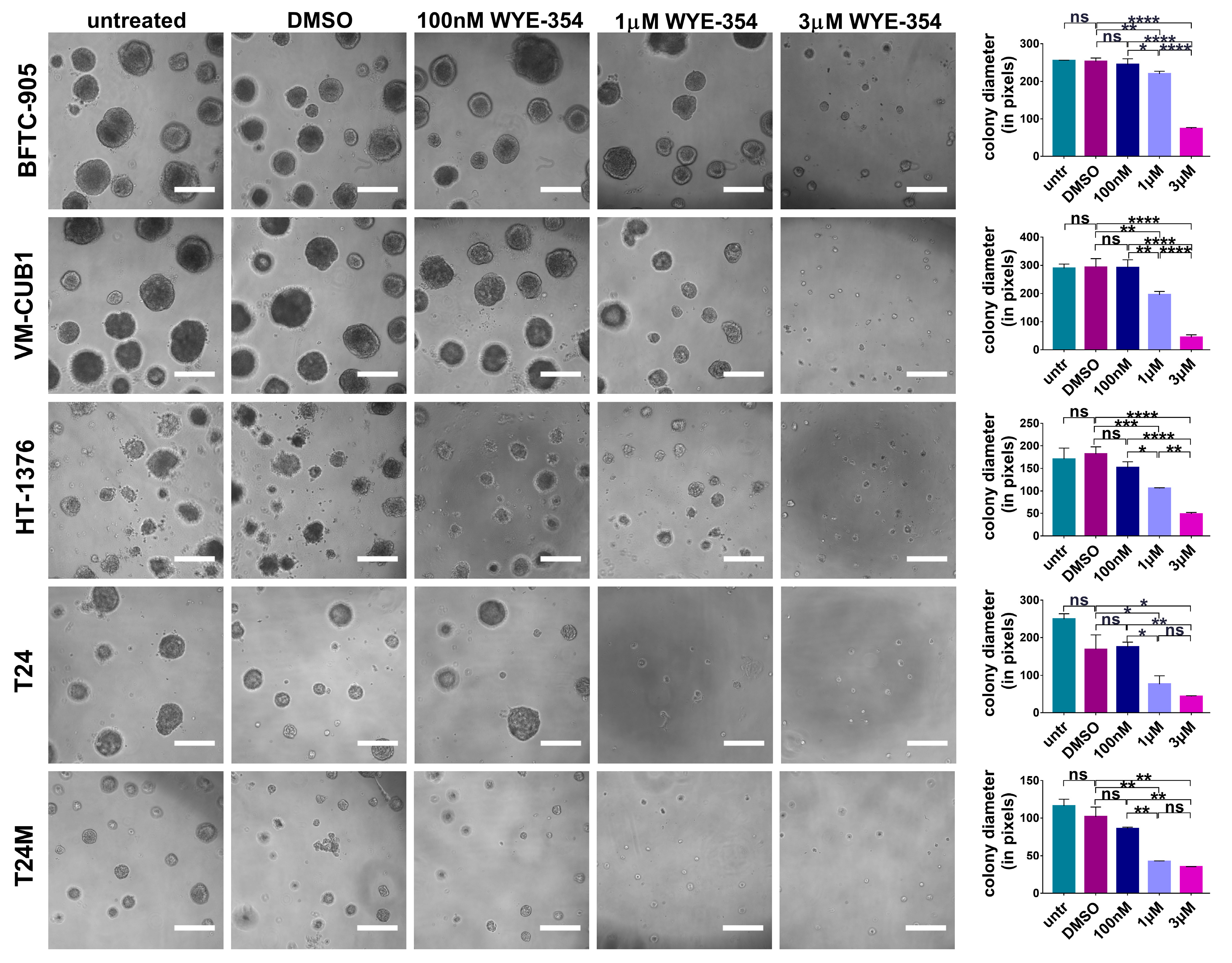 Cancers 12 03519 g004