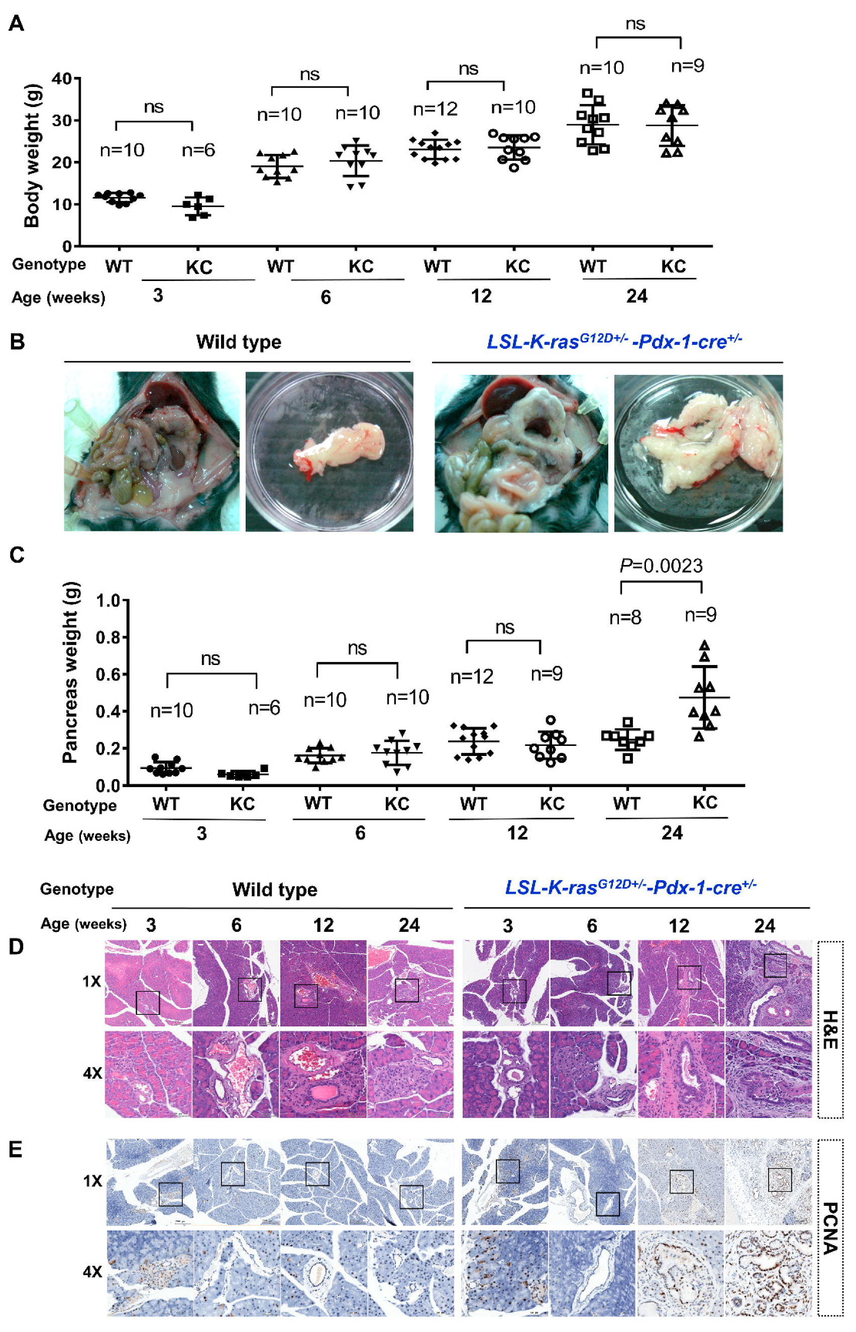 Cancers 12 03522 g001