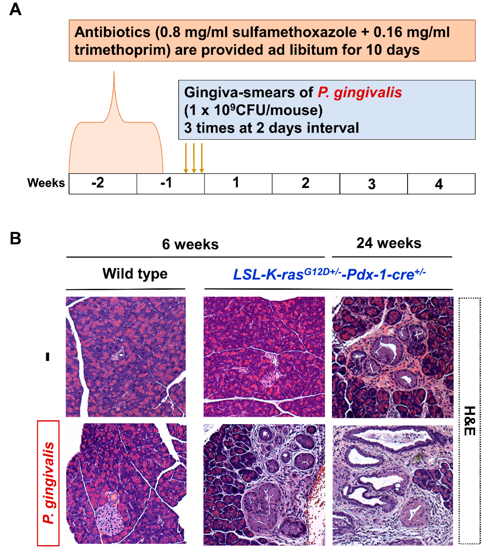 Cancers 12 03522 g002