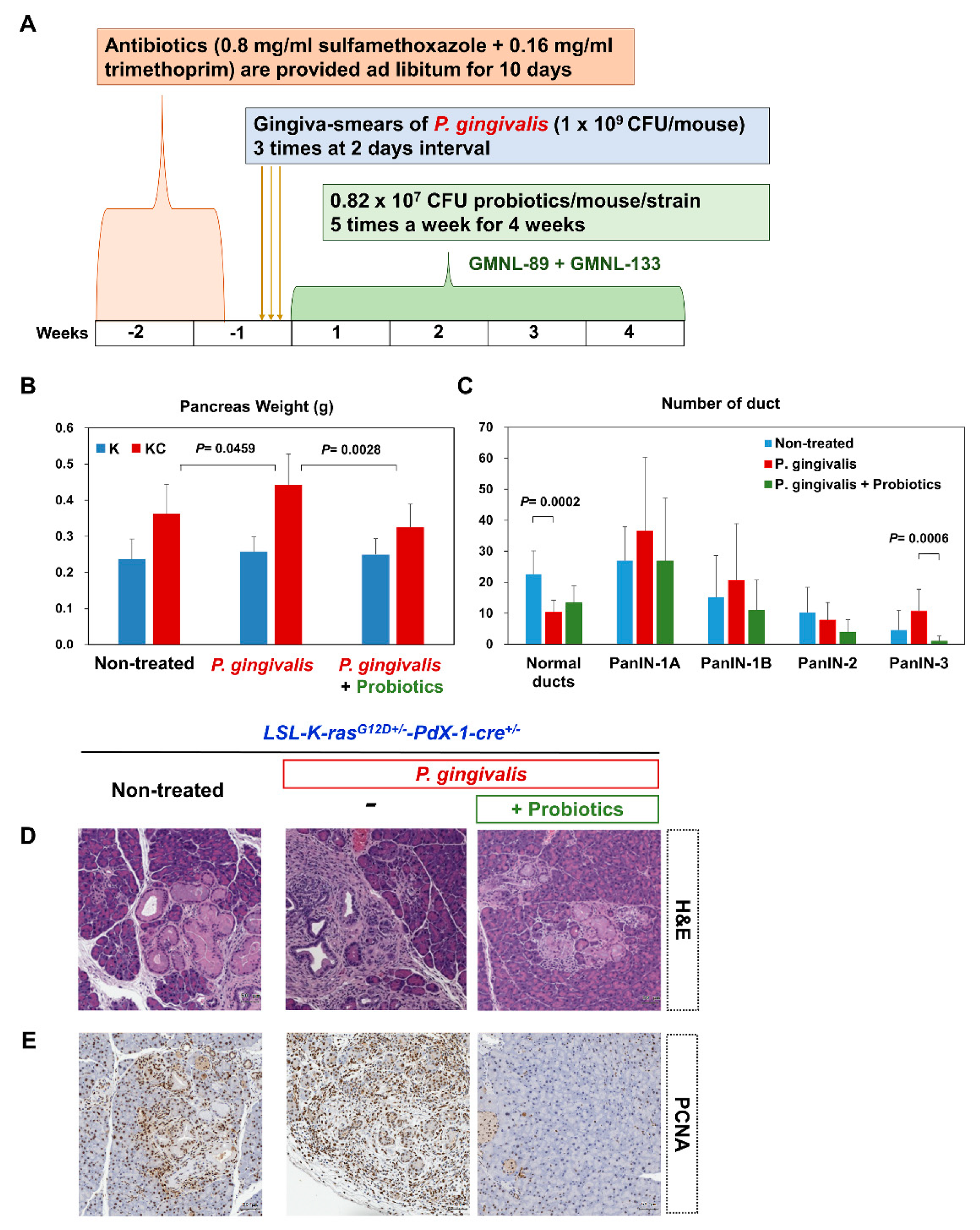Cancers 12 03522 g004