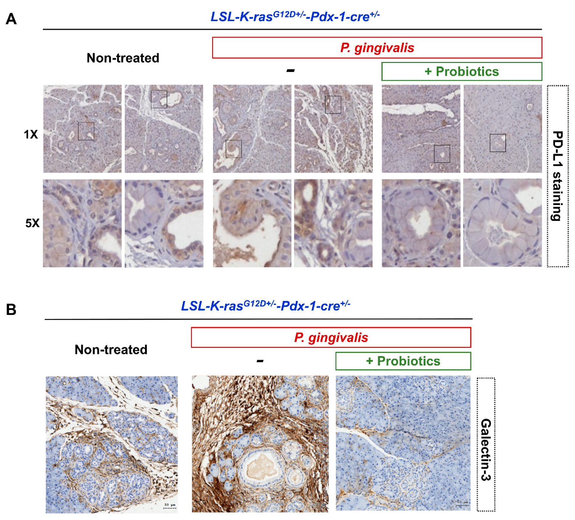 Cancers 12 03522 g006