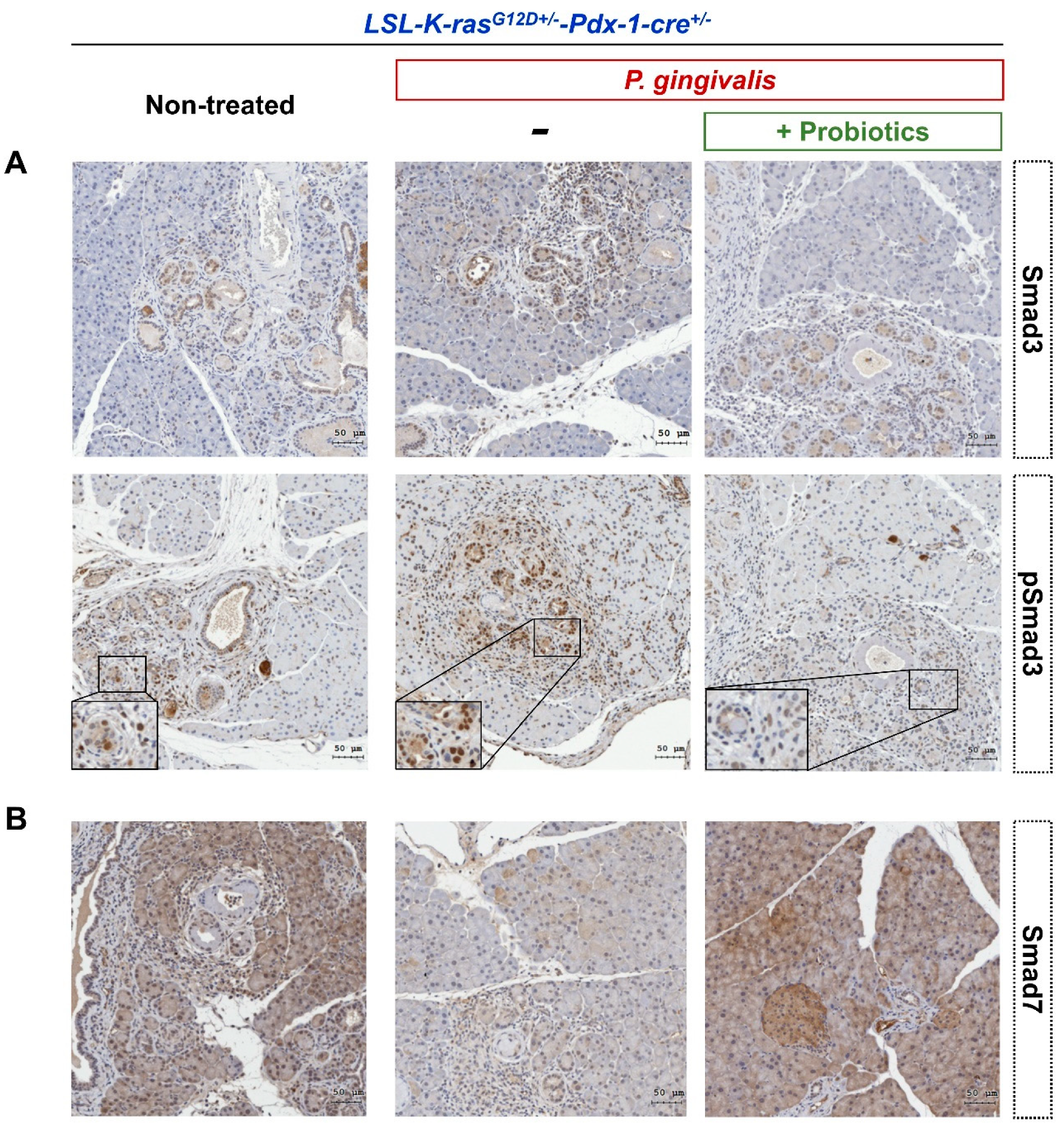 Cancers 12 03522 g007