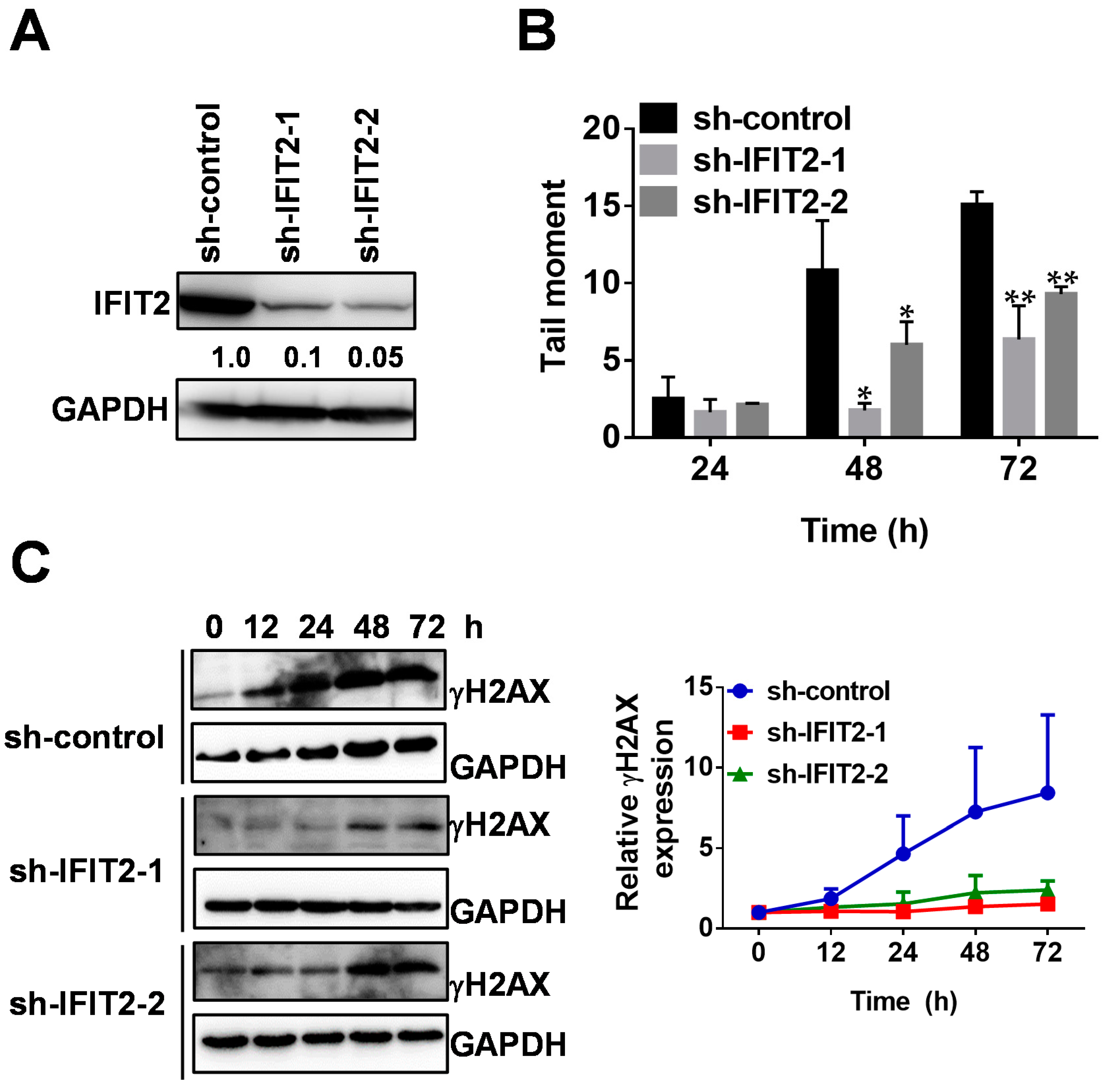 Cancers 12 03527 g001