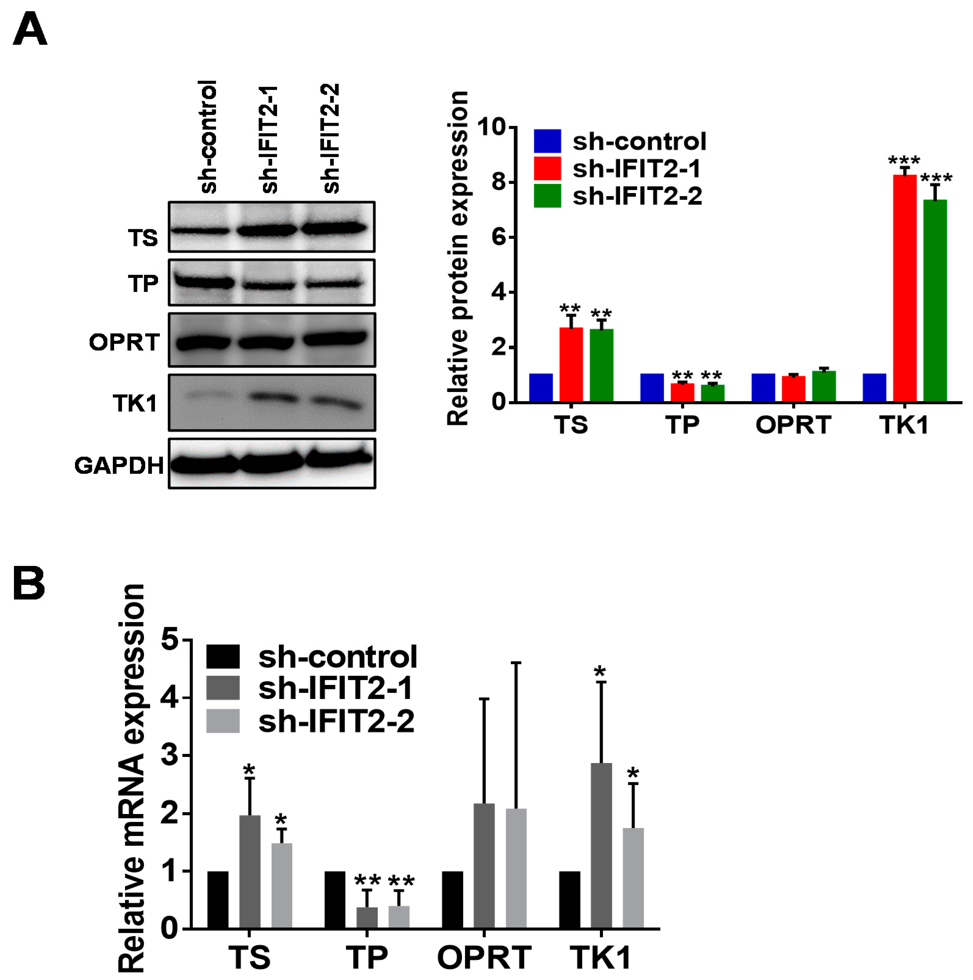 Cancers 12 03527 g004a