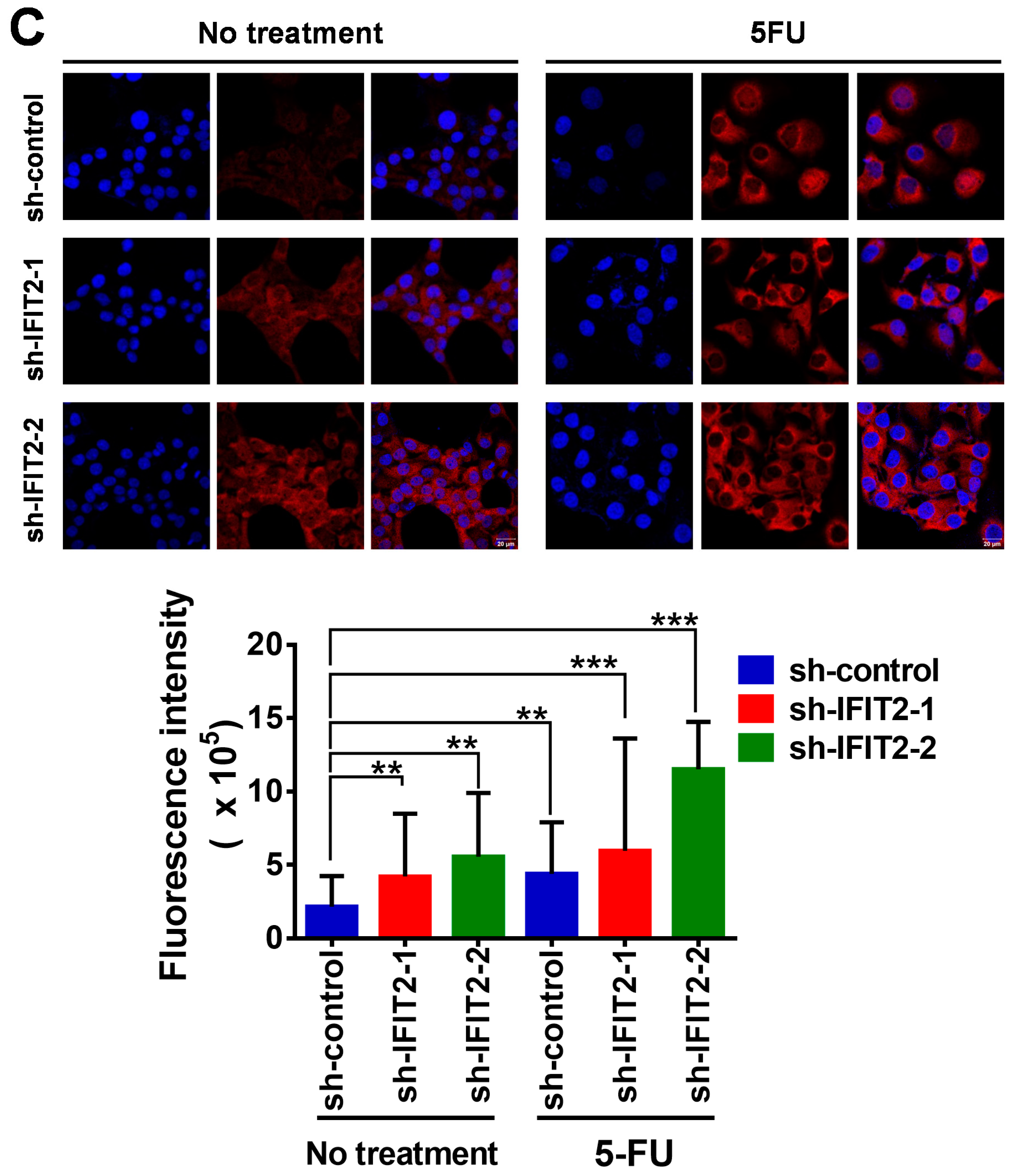 Cancers 12 03527 g004b
