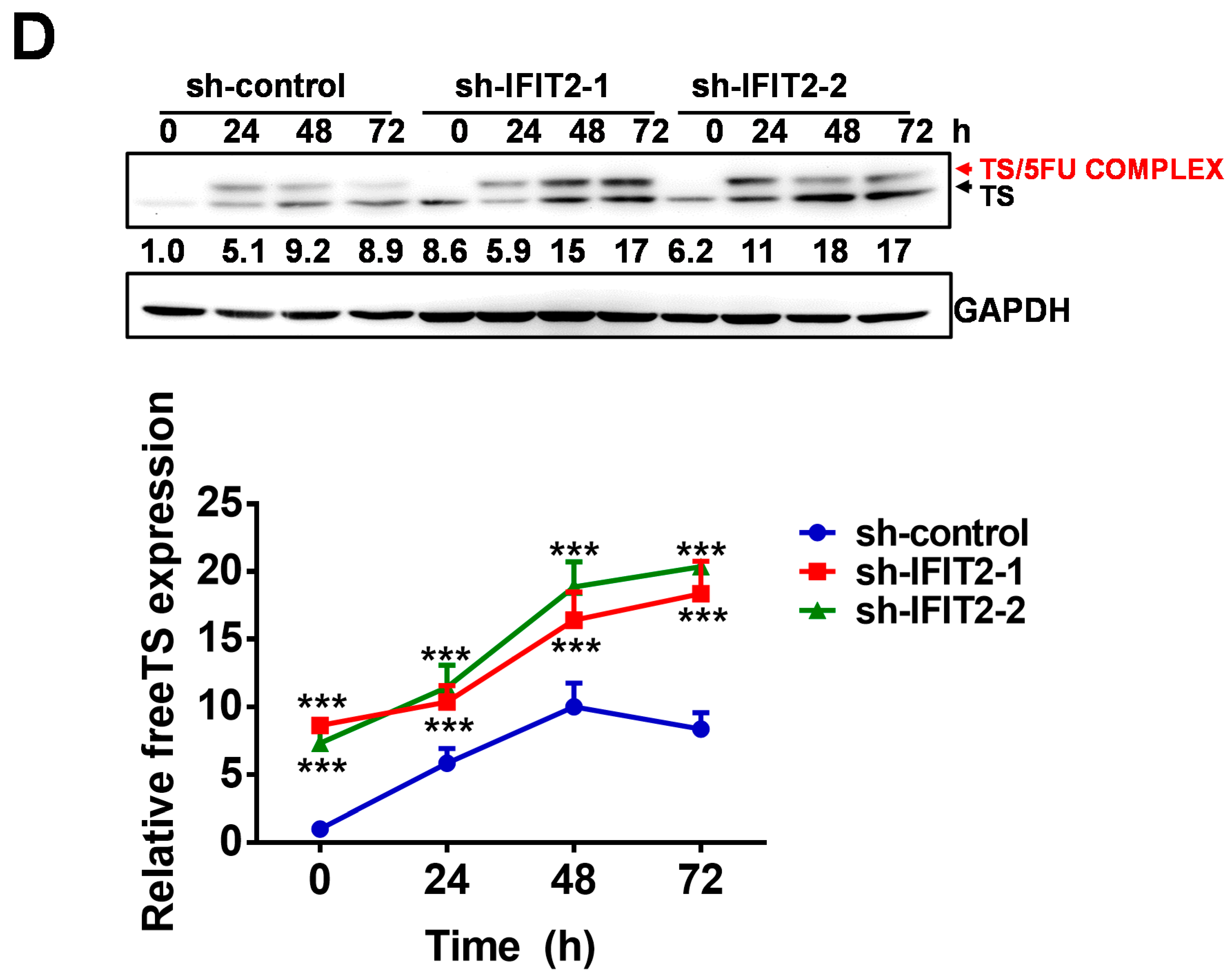 Cancers 12 03527 g004c