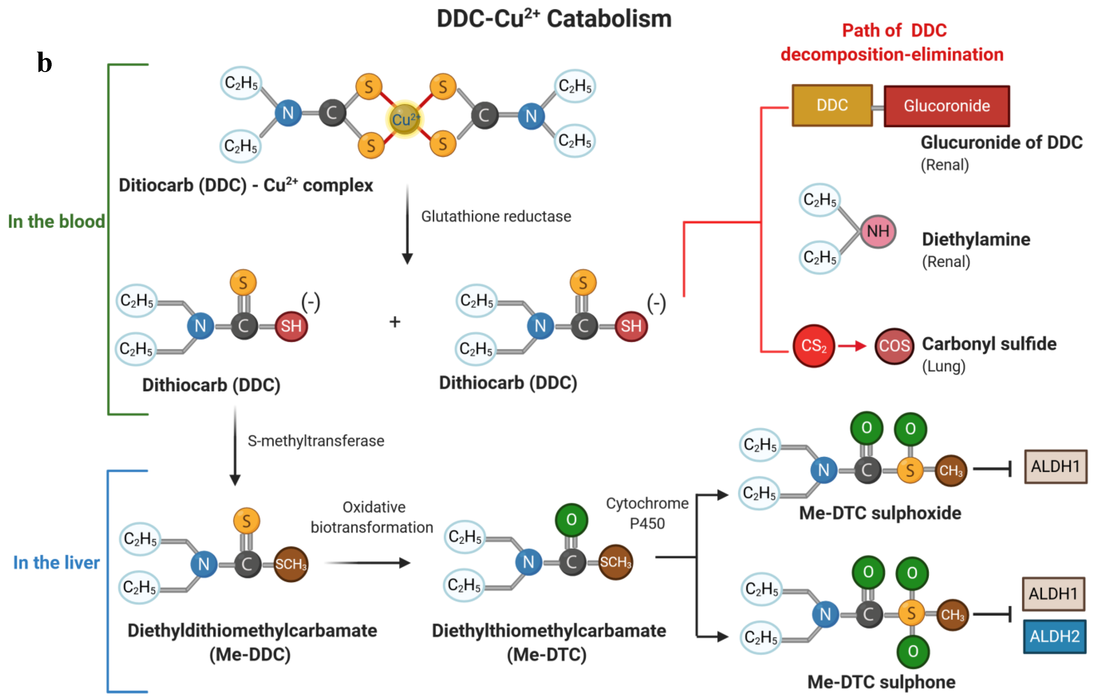 Cancers 12 03538 g001b