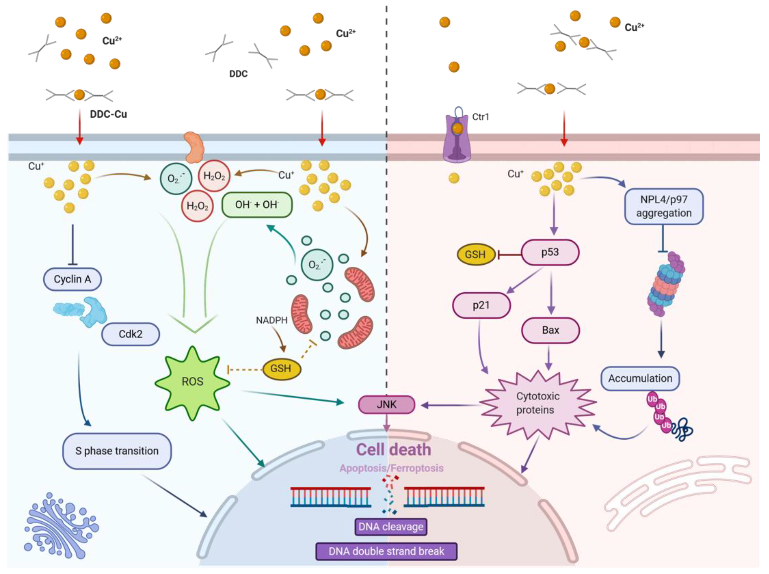 Cancers 12 03538 g002