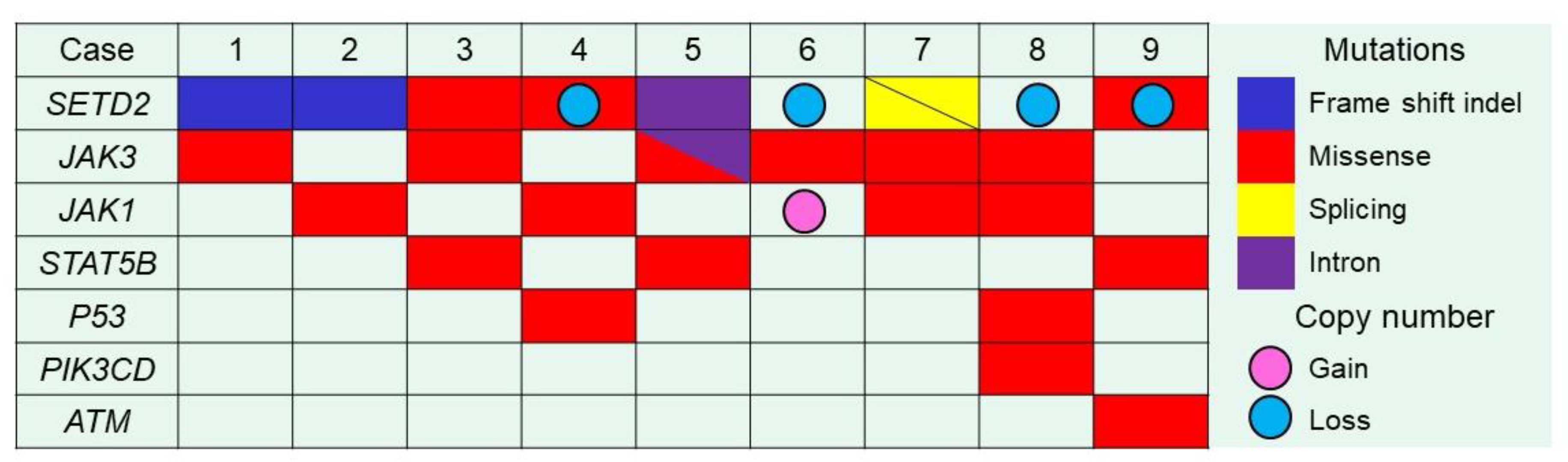 Cancers 12 03539 g001