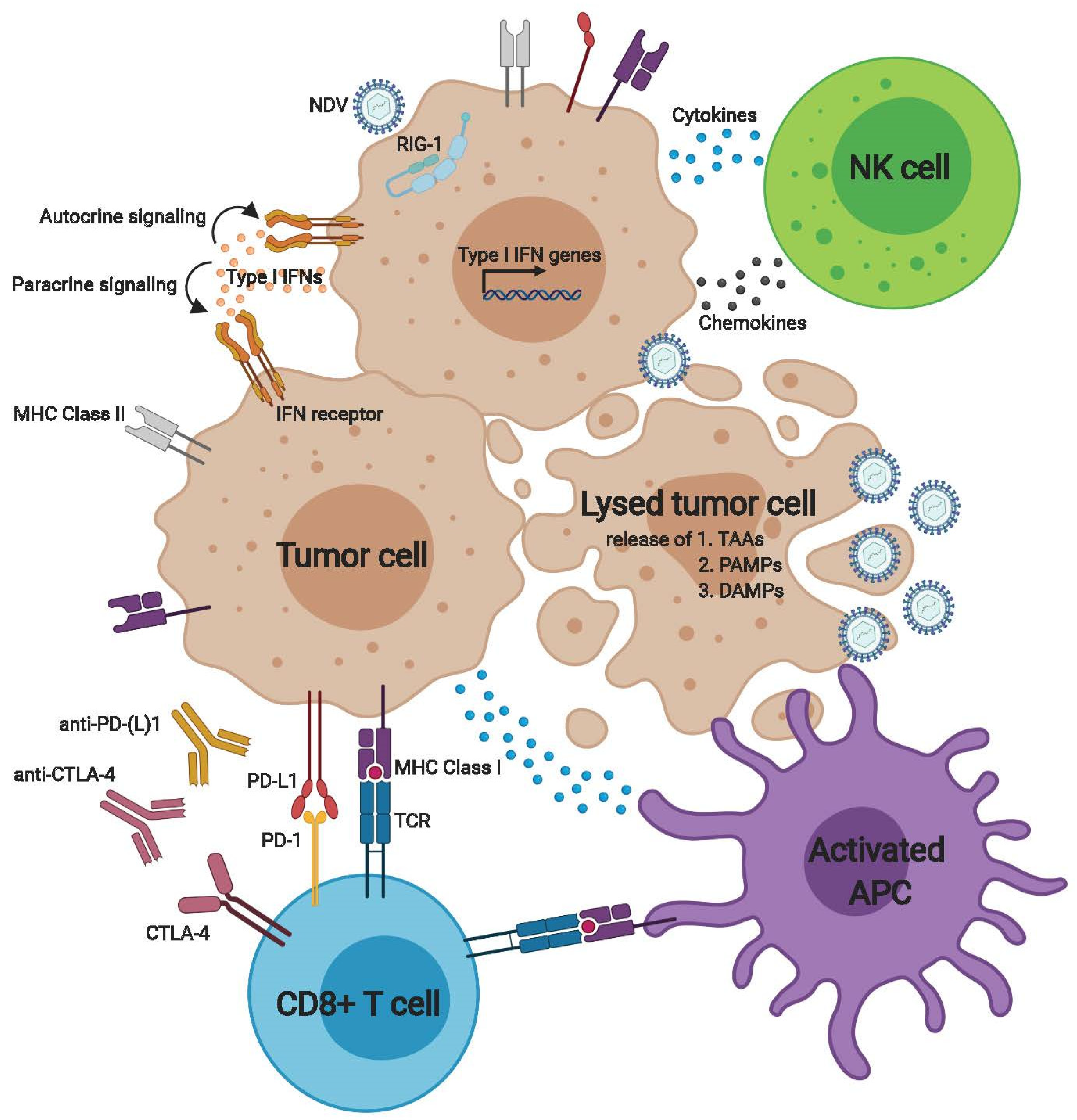 Cancers 12 03552 g001 Cancers 12 03552 g001