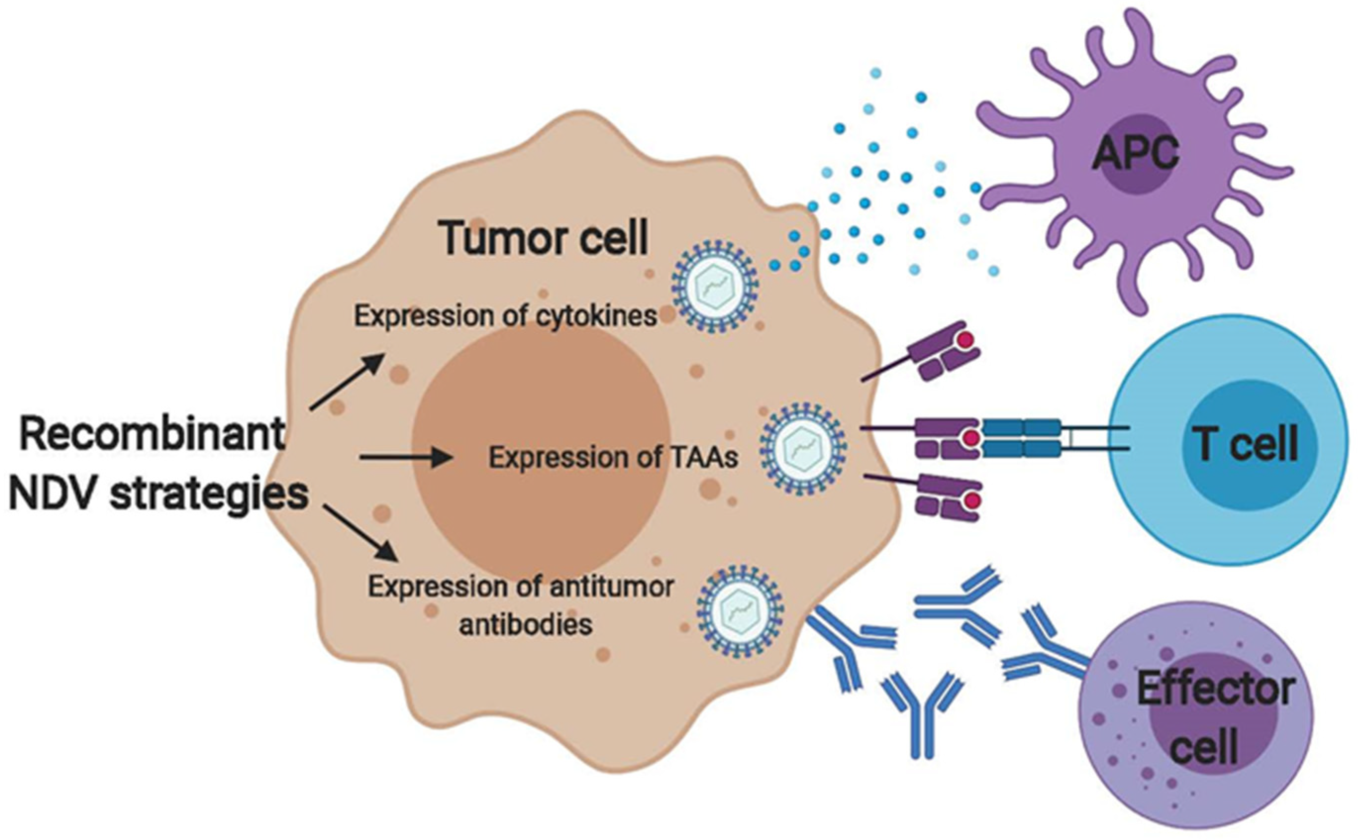 Cancers 12 03552 g002 Cancers 12 03552 g002