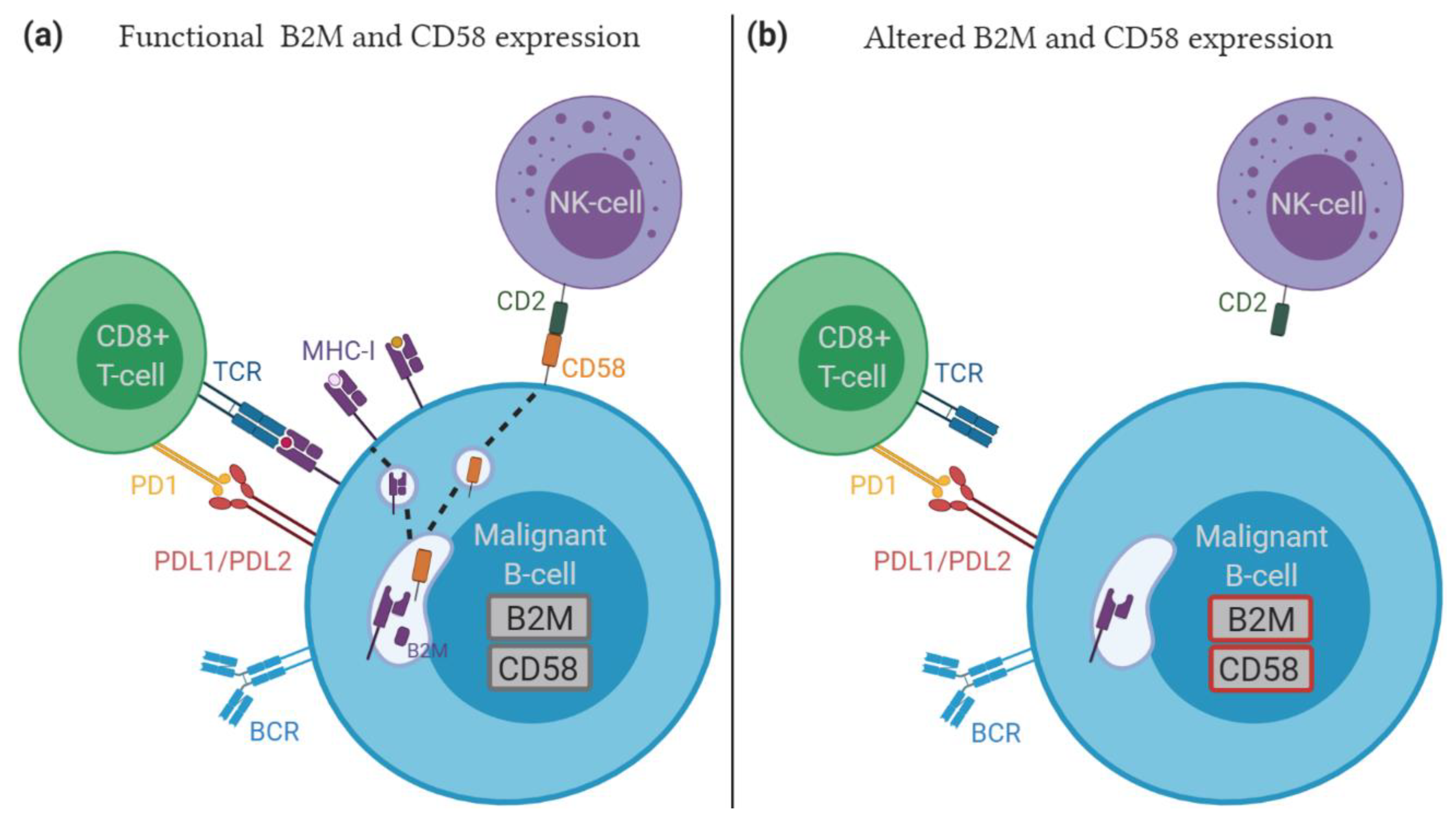 Cancers 12 03553 g002 Cancers 12 03553 g002