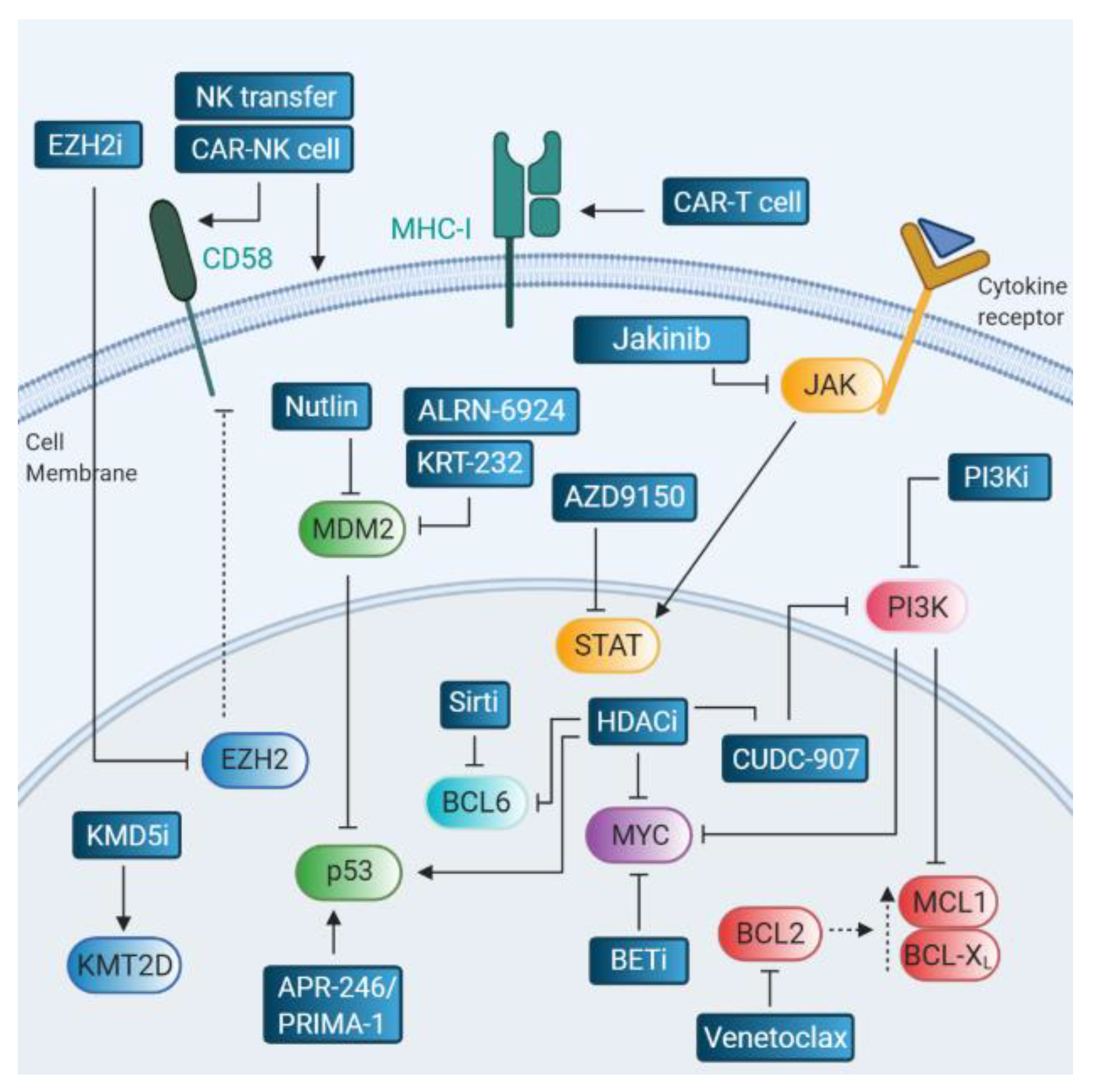 Cancers 12 03553 g003 Cancers 12 03553 g003